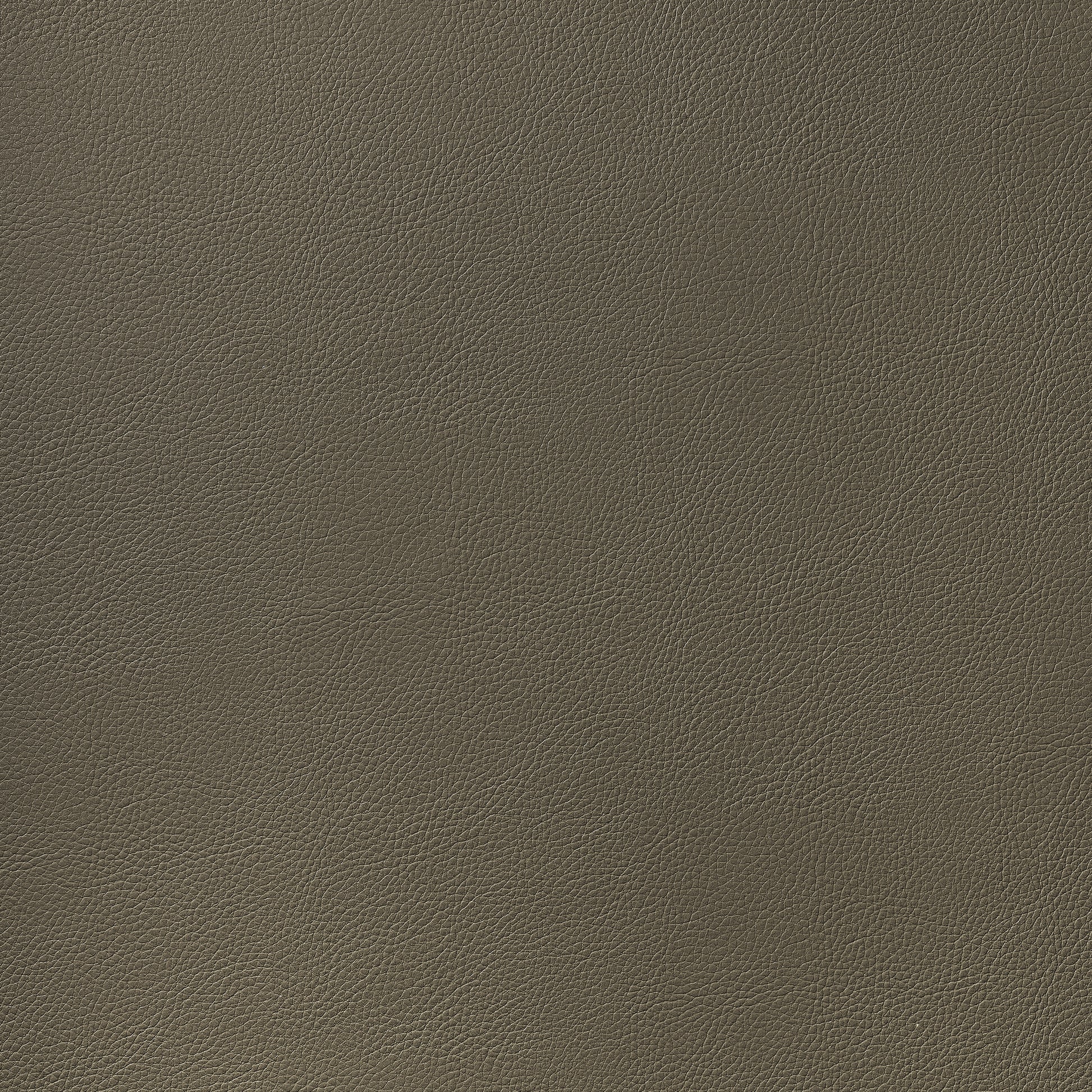 Purchase Thibaut Fabric Product# W78396 pattern name Arcata color Brown