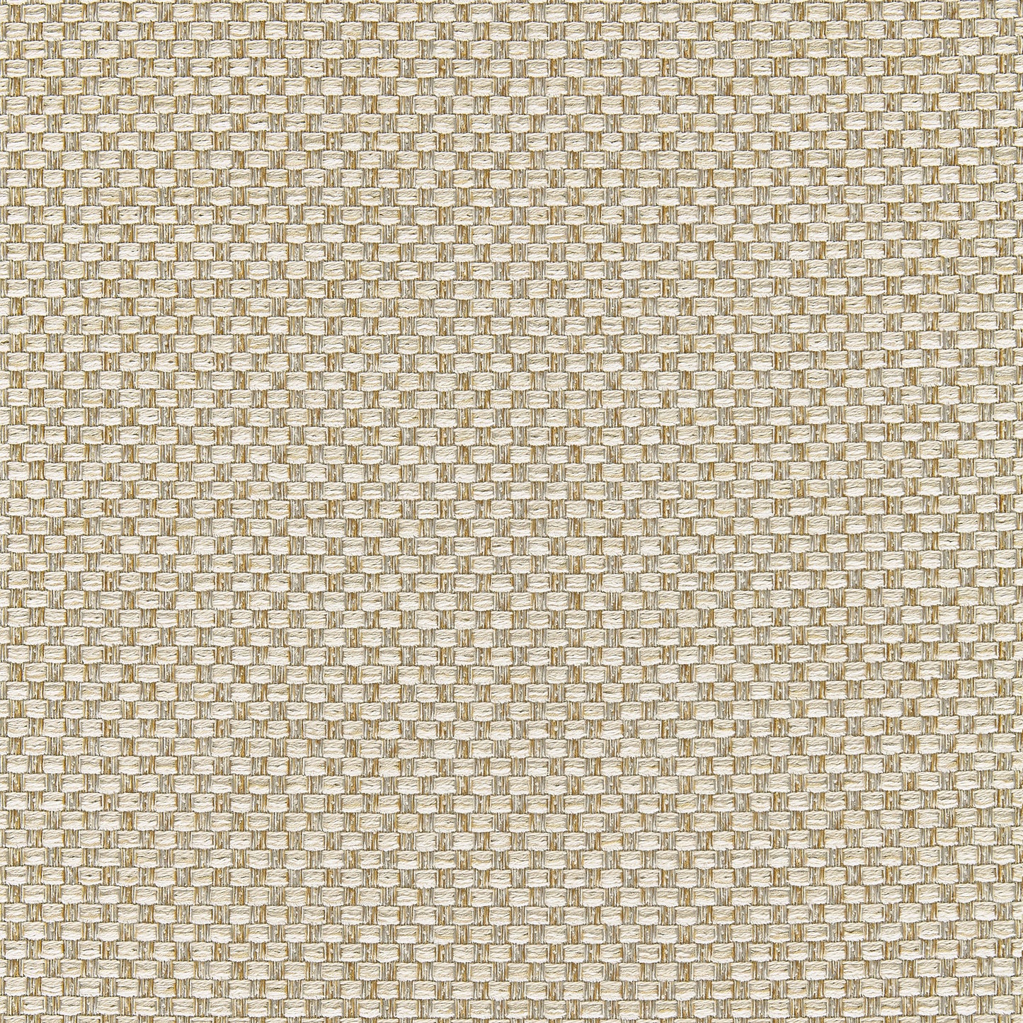 Purchase Thibaut Fabric Product# W80229 pattern name Palmetto color Almond