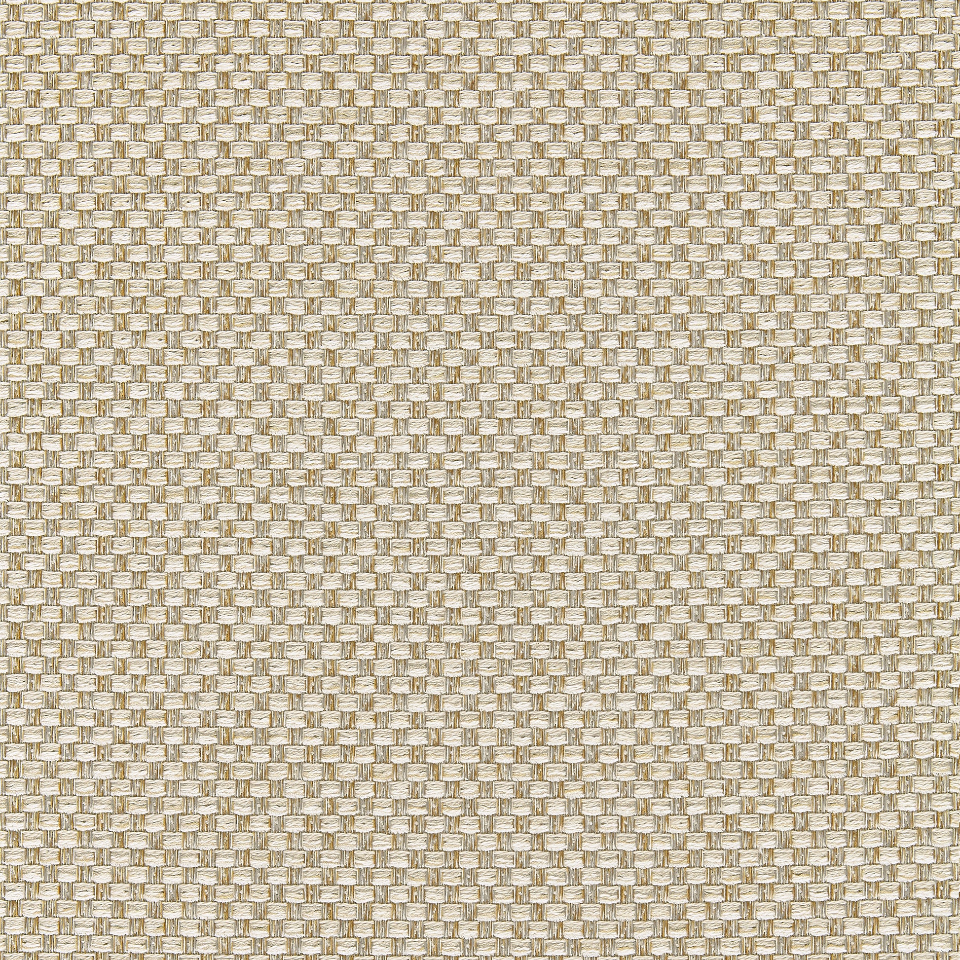 Purchase Thibaut Fabric Product# W80229 pattern name Palmetto color Almond