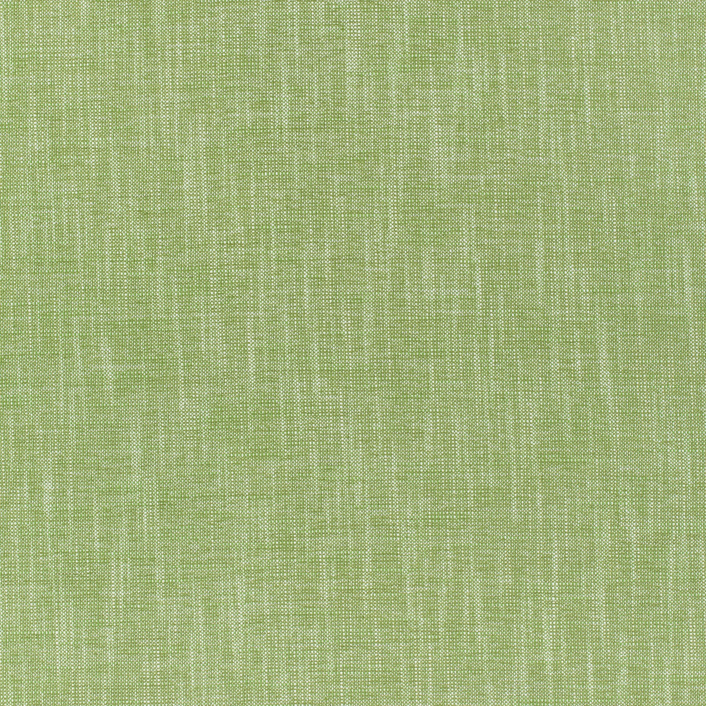 Purchase Thibaut Fabric Pattern number W80499 pattern name Bailey color Grass