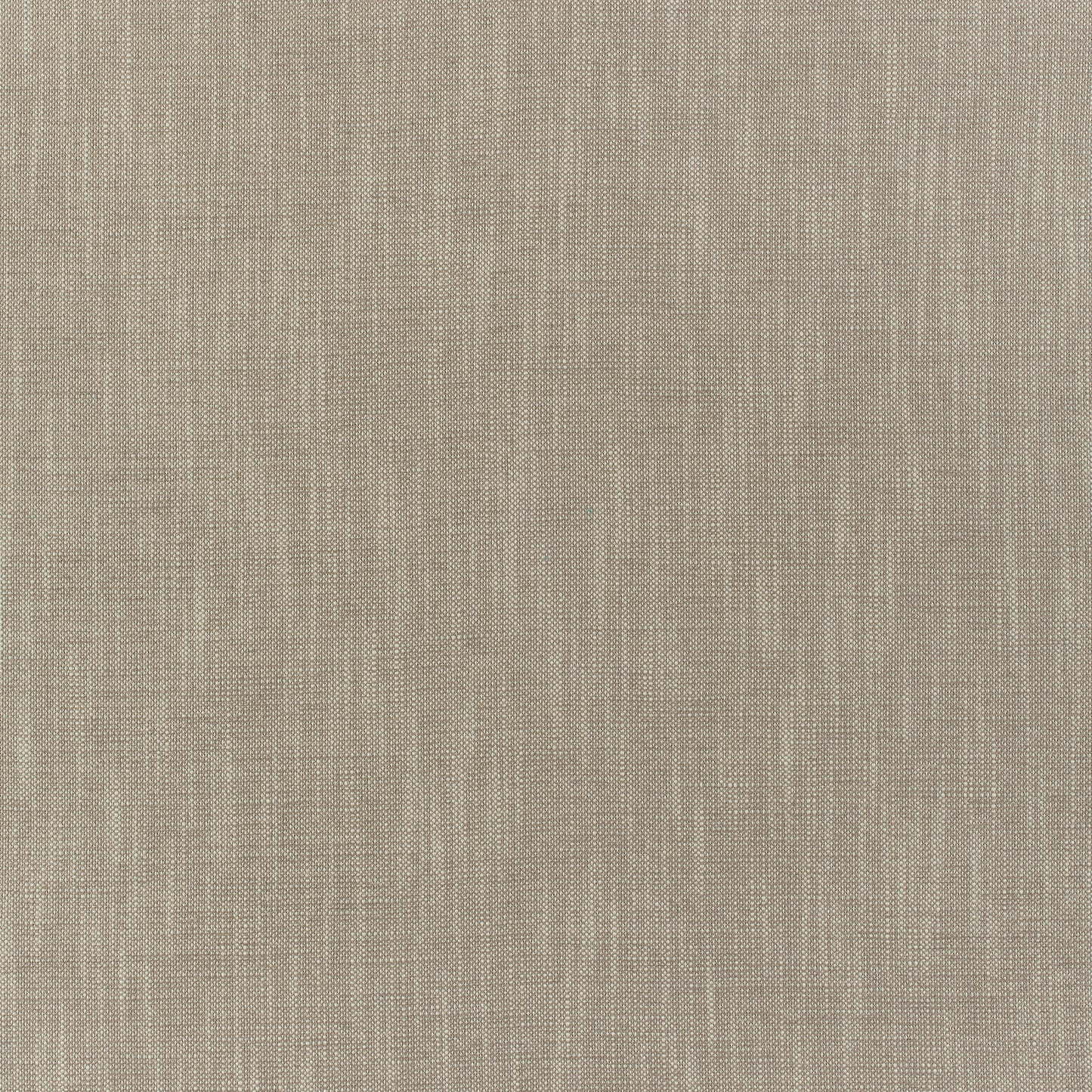 Purchase Thibaut Fabric SKU# W80503 pattern name Bailey color Taupe