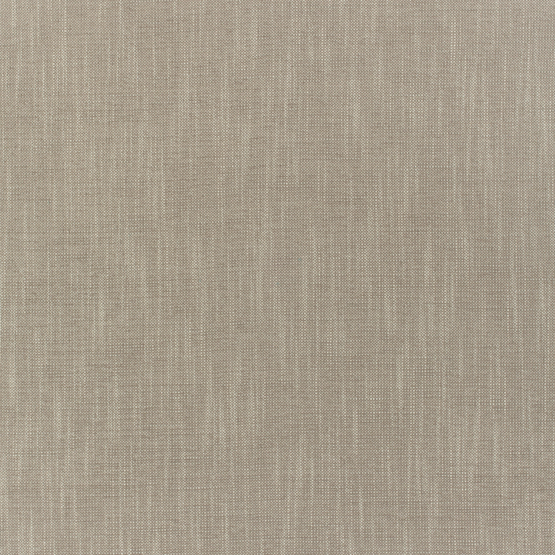 Purchase Thibaut Fabric SKU# W80503 pattern name Bailey color Taupe