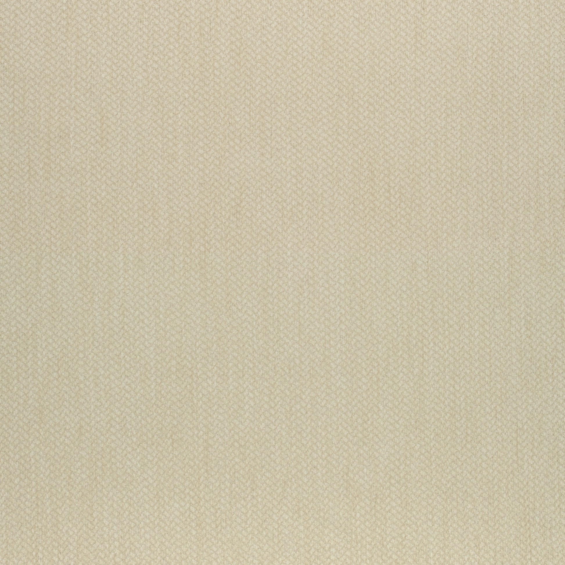 Purchase Thibaut Fabric Item W80505 pattern name Orion color Honey