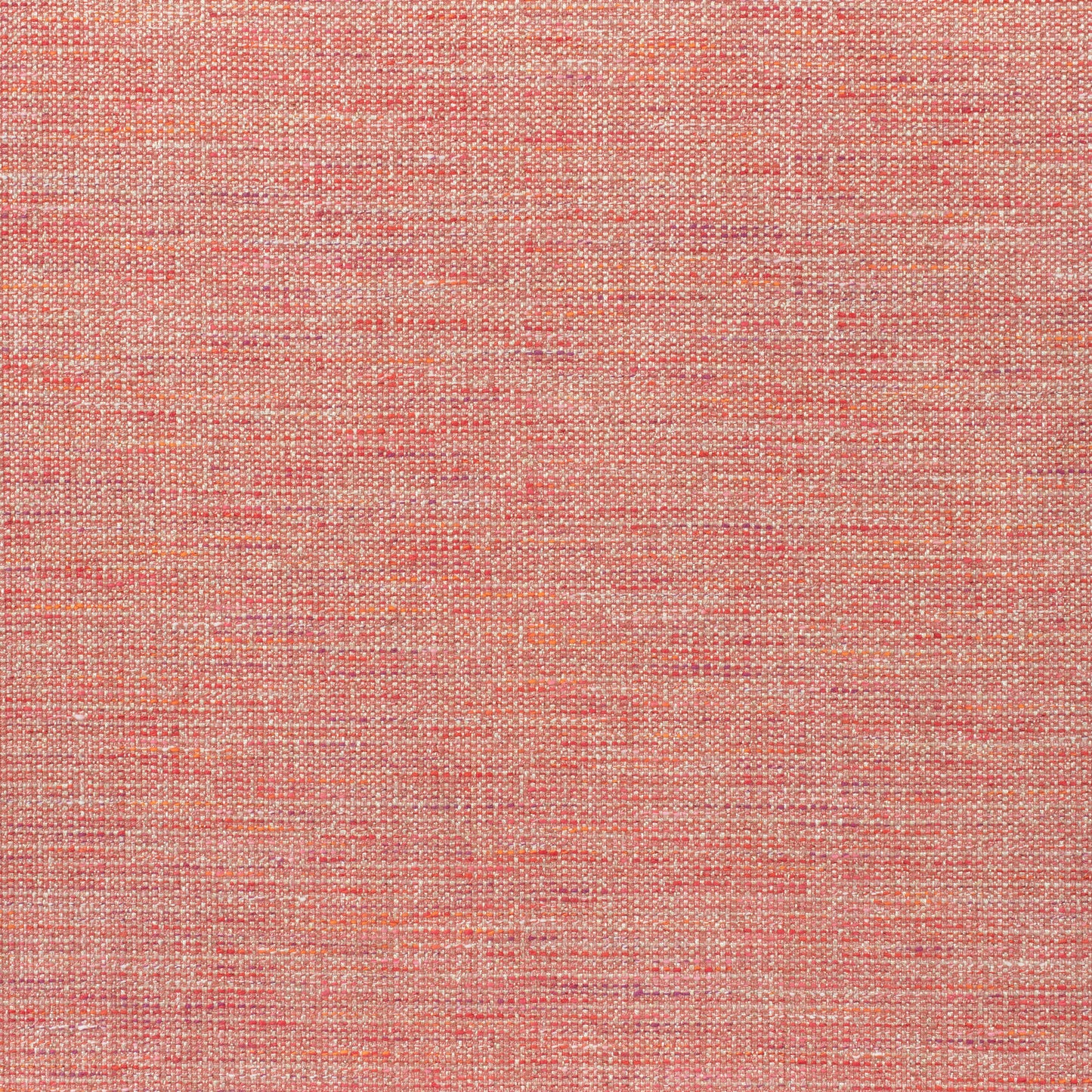 Purchase Thibaut Fabric SKU# W80702 pattern name Dante color Coral