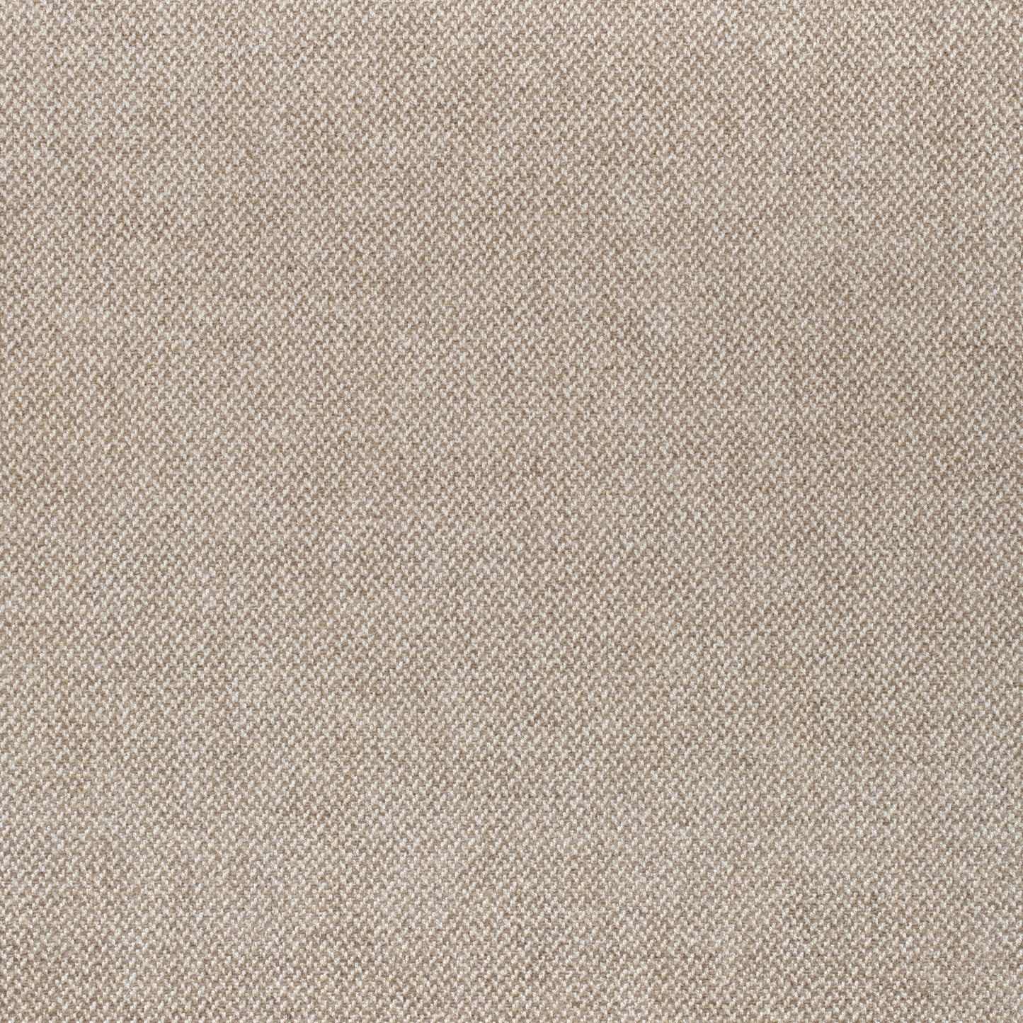 Purchase Thibaut Fabric Item# W80703 pattern name Picco color Sand