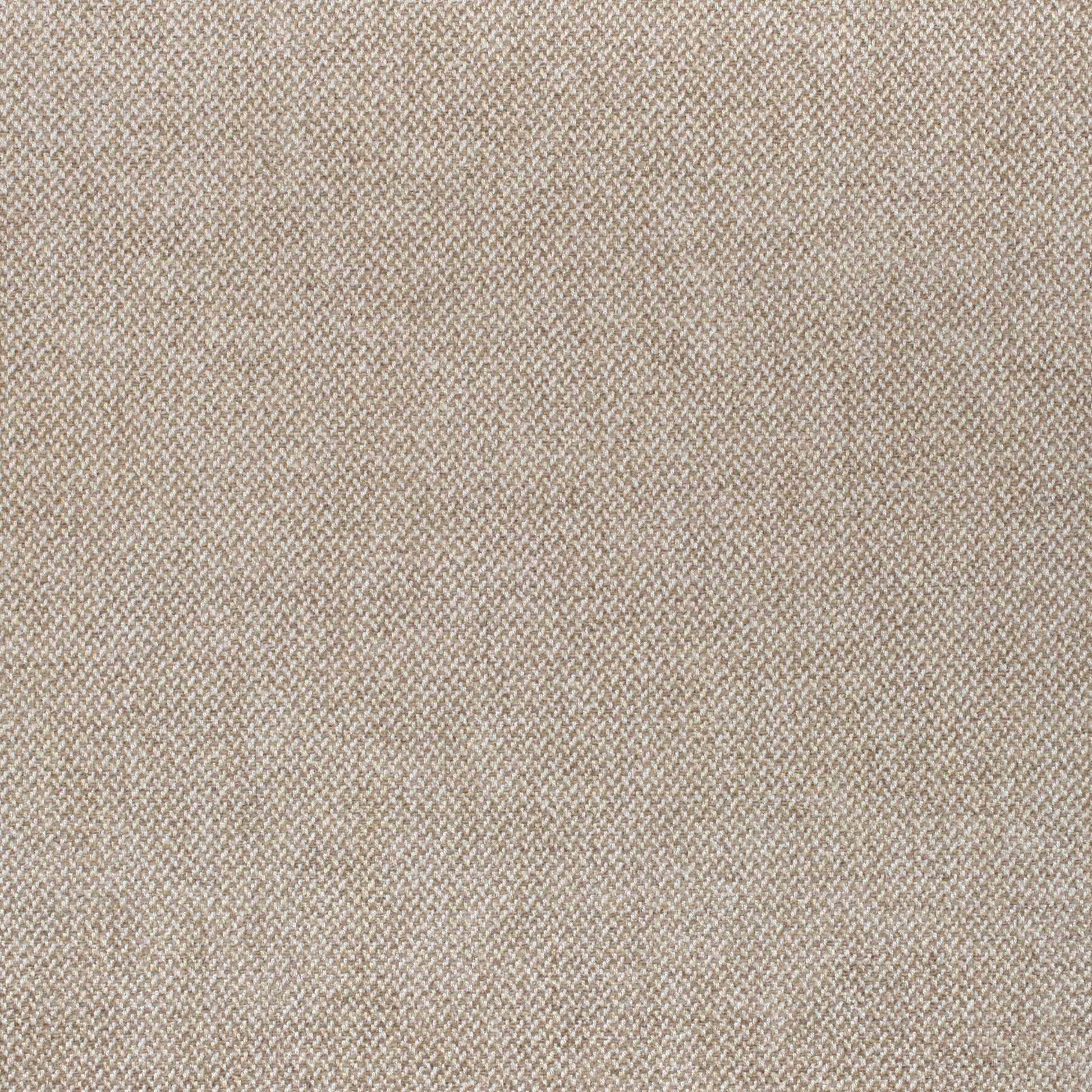 Purchase Thibaut Fabric Item# W80703 pattern name Picco color Sand