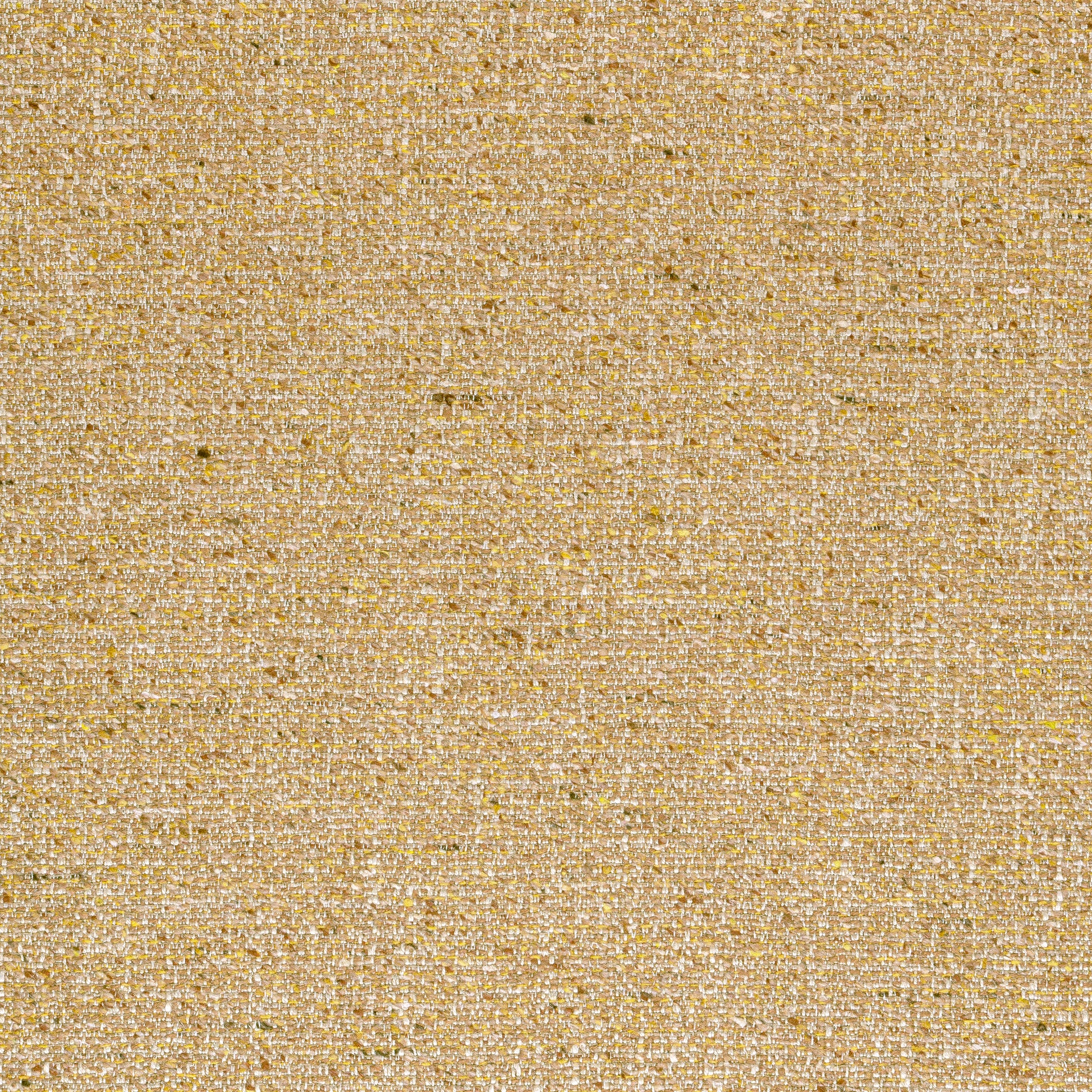 Purchase Thibaut Fabric SKU# W80936 pattern name Shannon color Camel