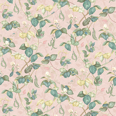 Purchase W8122-03 | Belvedere Cupani Blush - Osborne & Little Wallpaper