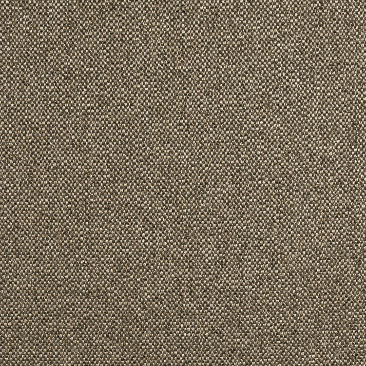 Purchase Thibaut Fabric SKU W8129 pattern name Tinta color Mocha