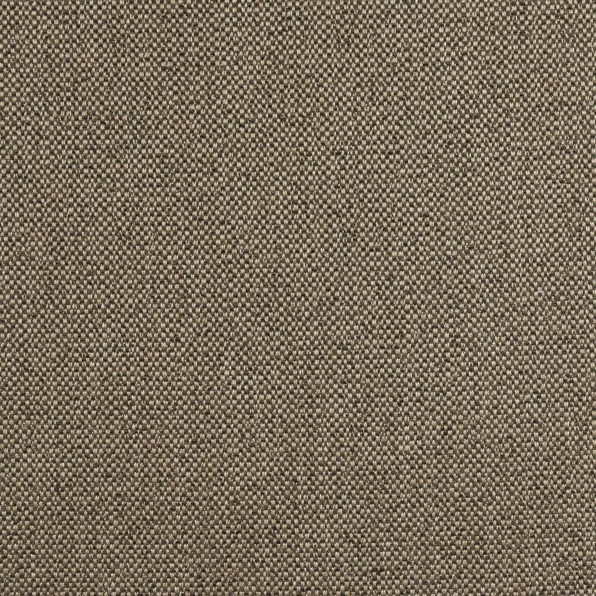 Purchase Thibaut Fabric SKU W8129 pattern name Tinta color Mocha