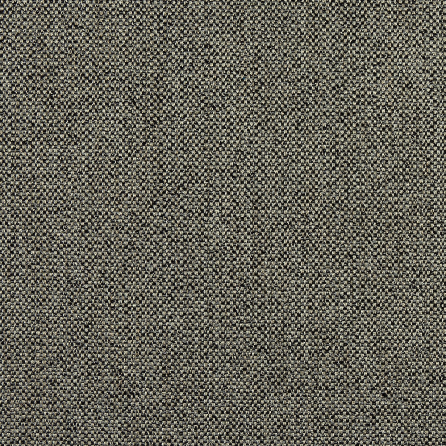 Purchase Thibaut Fabric Product W8131 pattern name Tinta color Onyx