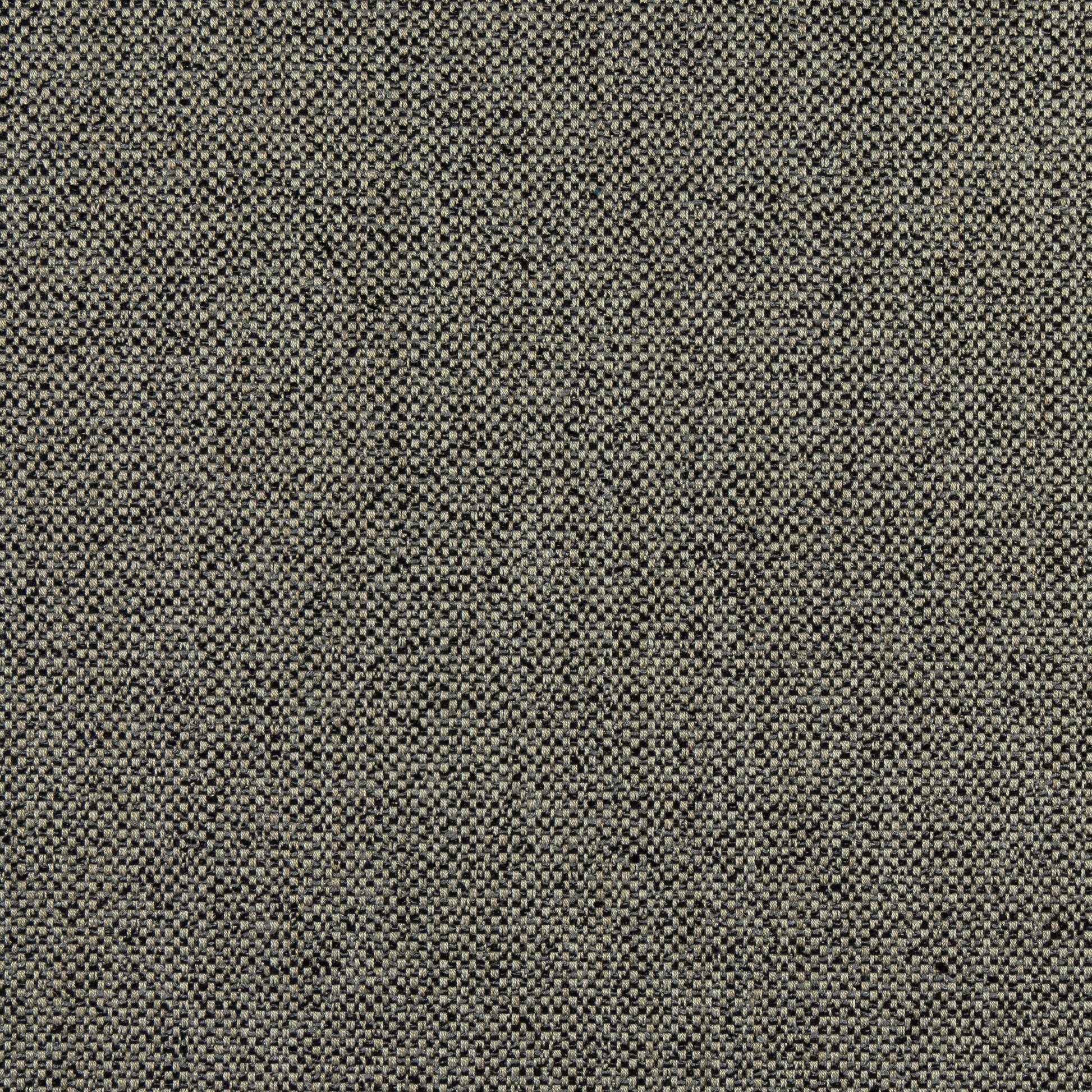 Purchase Thibaut Fabric Product W8131 pattern name Tinta color Onyx