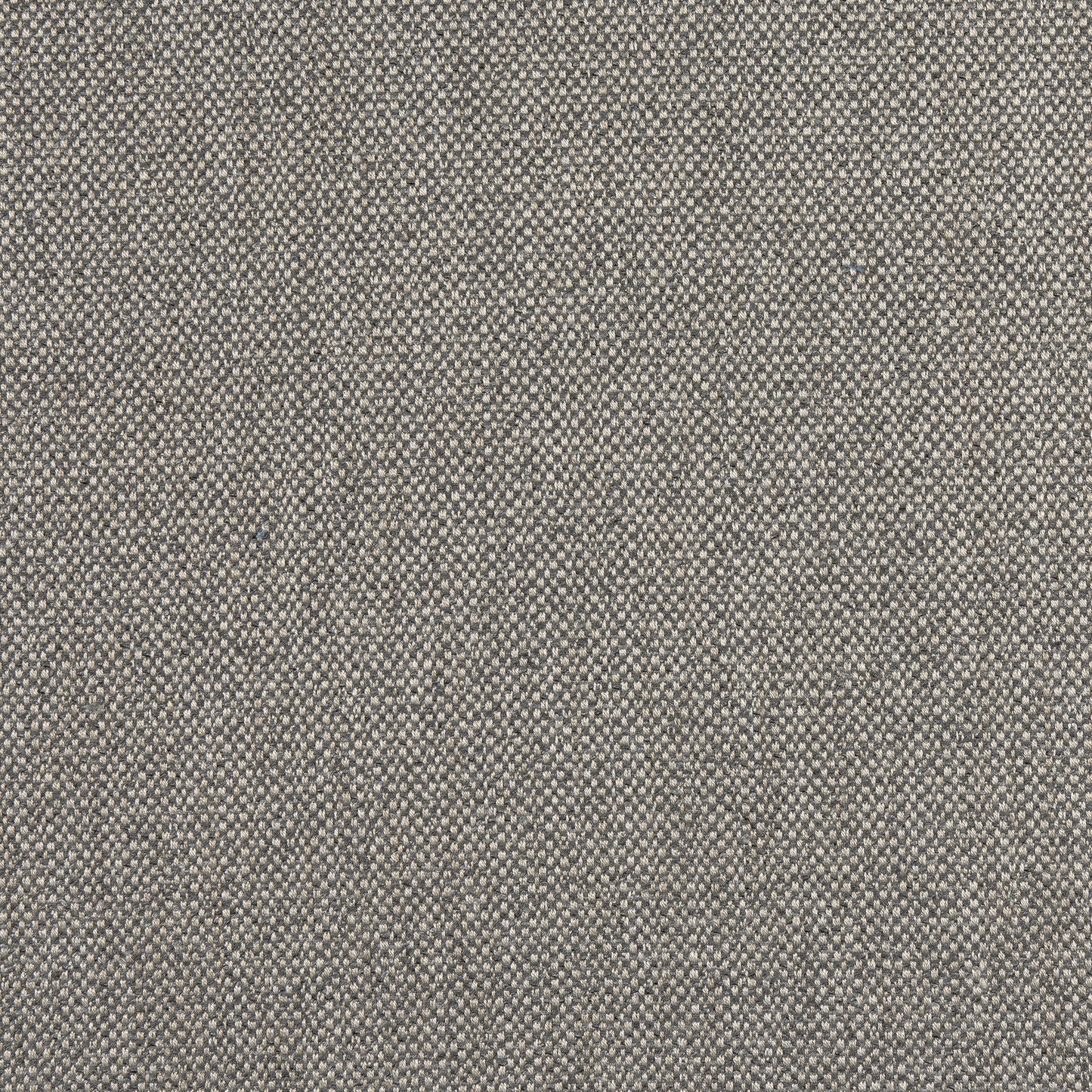 Purchase Thibaut Fabric Product# W8132 pattern name Tinta color Smoke