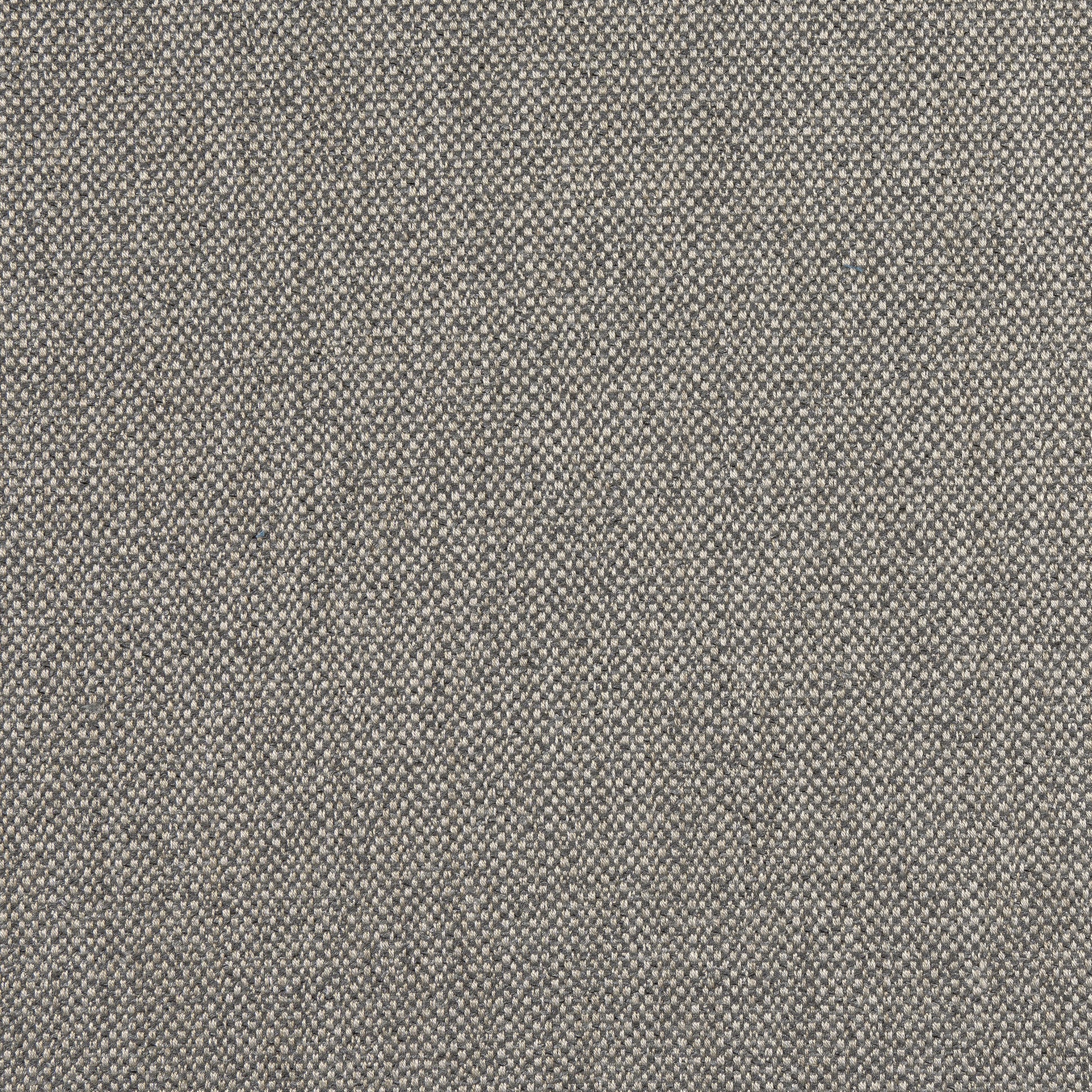 Purchase Thibaut Fabric Product# W8132 pattern name Tinta color Smoke