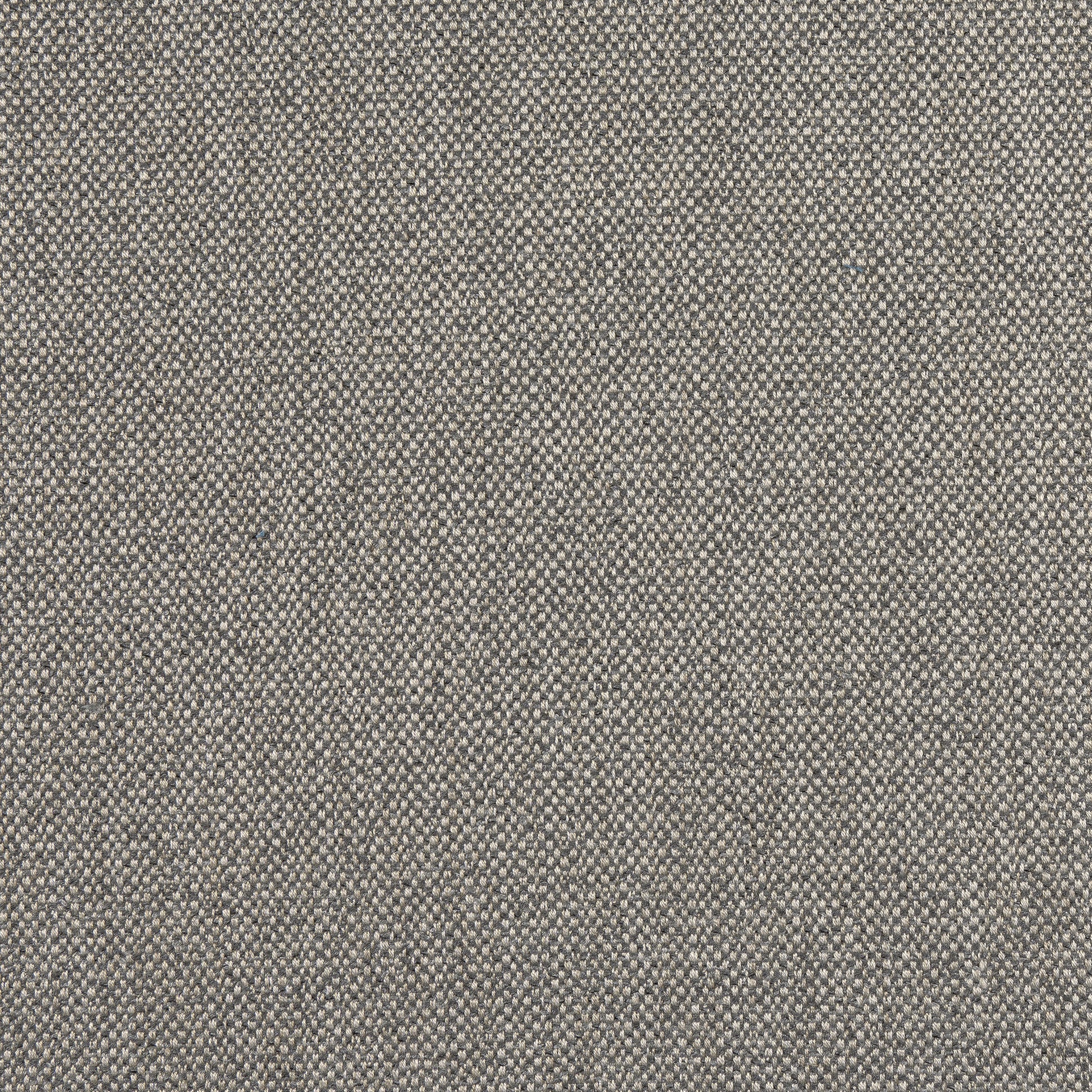 Purchase Thibaut Fabric Product# W8132 pattern name Tinta color Smoke