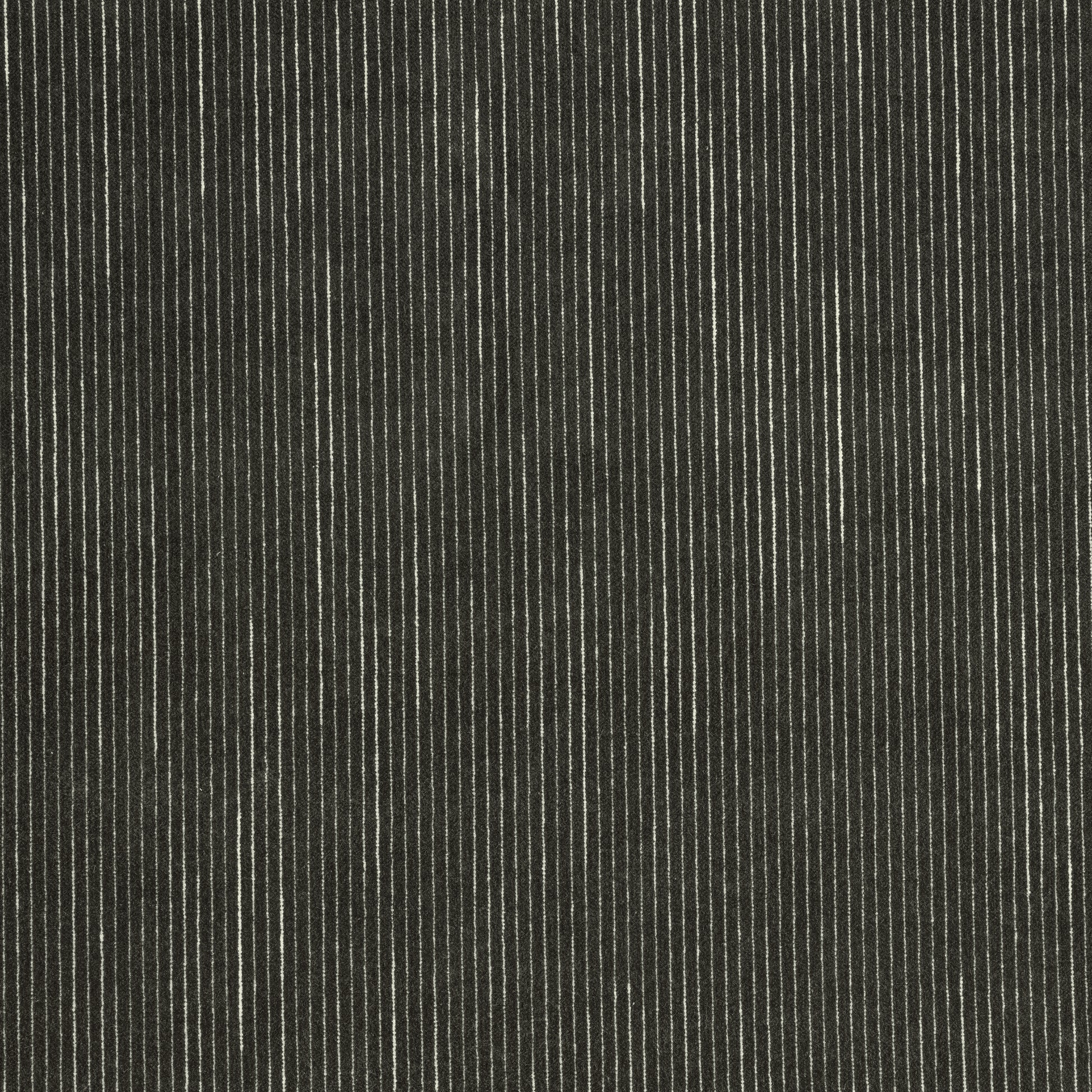 Purchase Thibaut Fabric Item W8150 pattern name Fino Velvet color Smoke