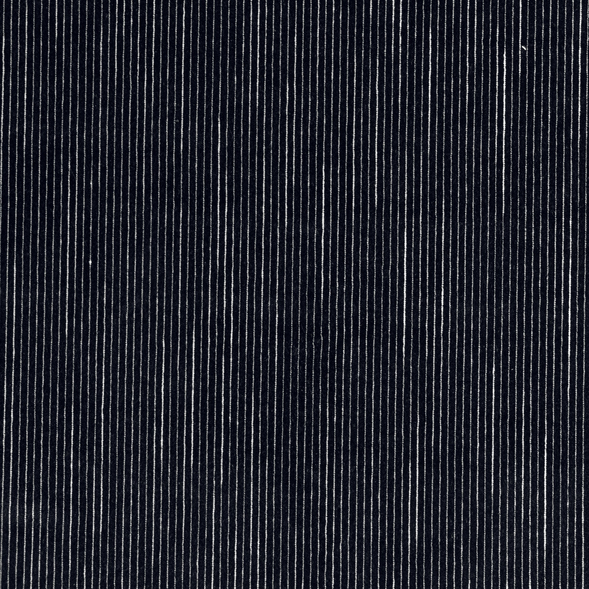 Purchase Thibaut Fabric Pattern W8151 pattern name Fino Velvet color Black