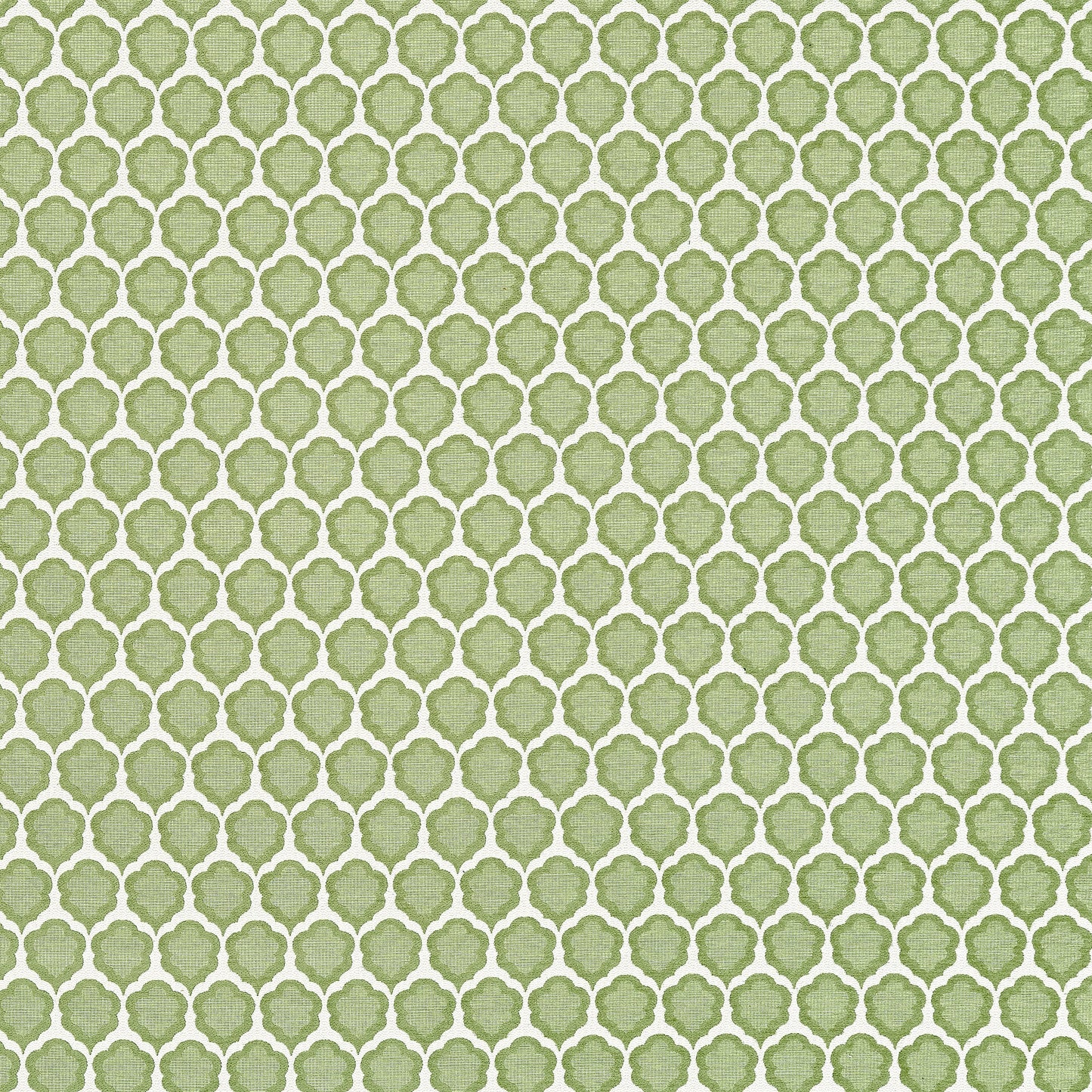 Looking For Thibaut Fabric Product# W81930 Pattern Name Genie From The Collection Companions. 