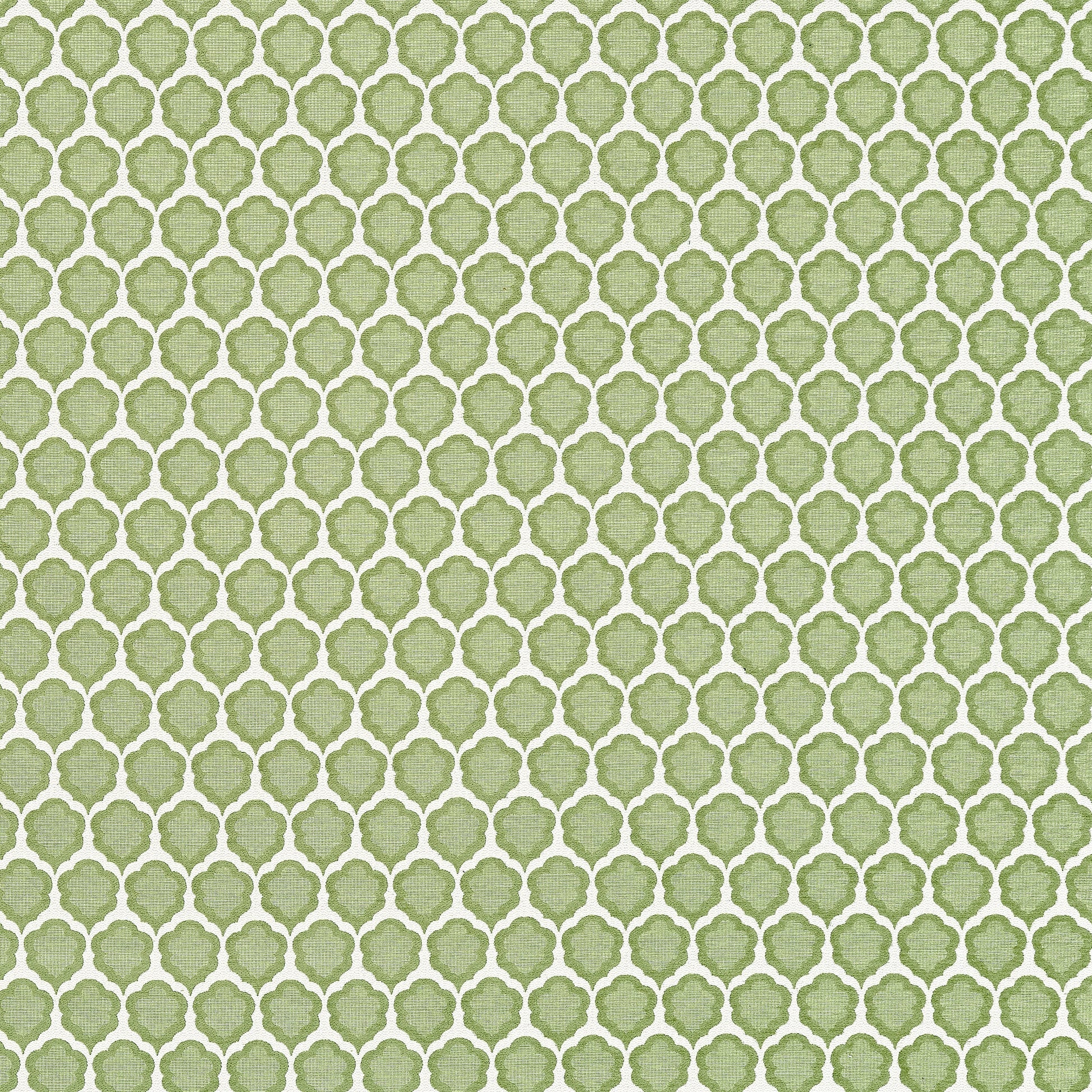 Looking For Thibaut Fabric Product# W81930 Pattern Name Genie From The Collection Companions. 