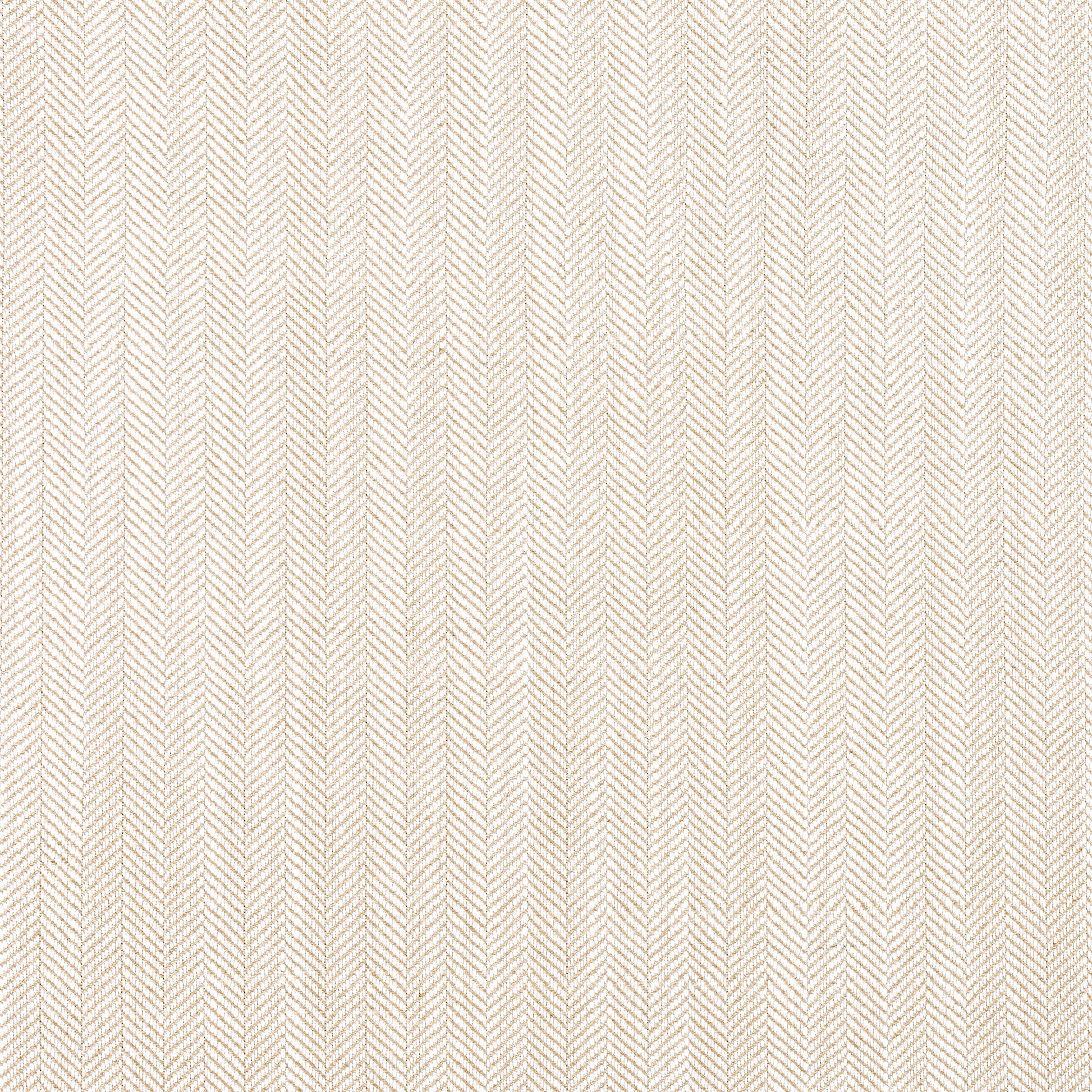Purchase Thibaut Fabric Pattern W8559 pattern name Savile color Sand