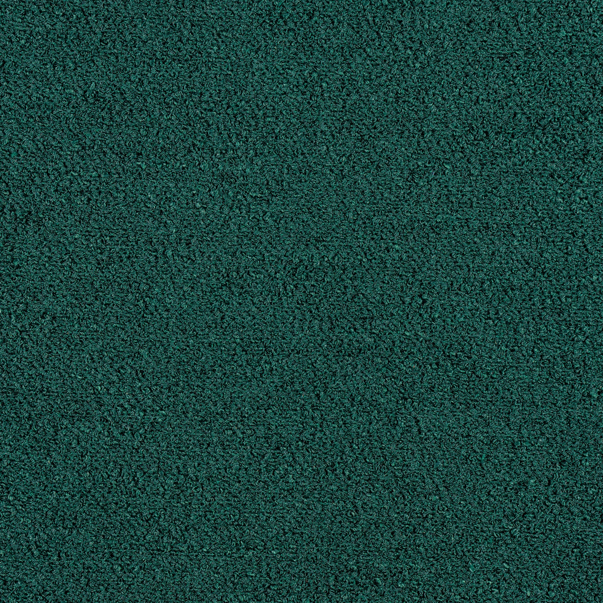Purchase Thibaut Fabric Pattern# W8593 pattern name Capra color Forest