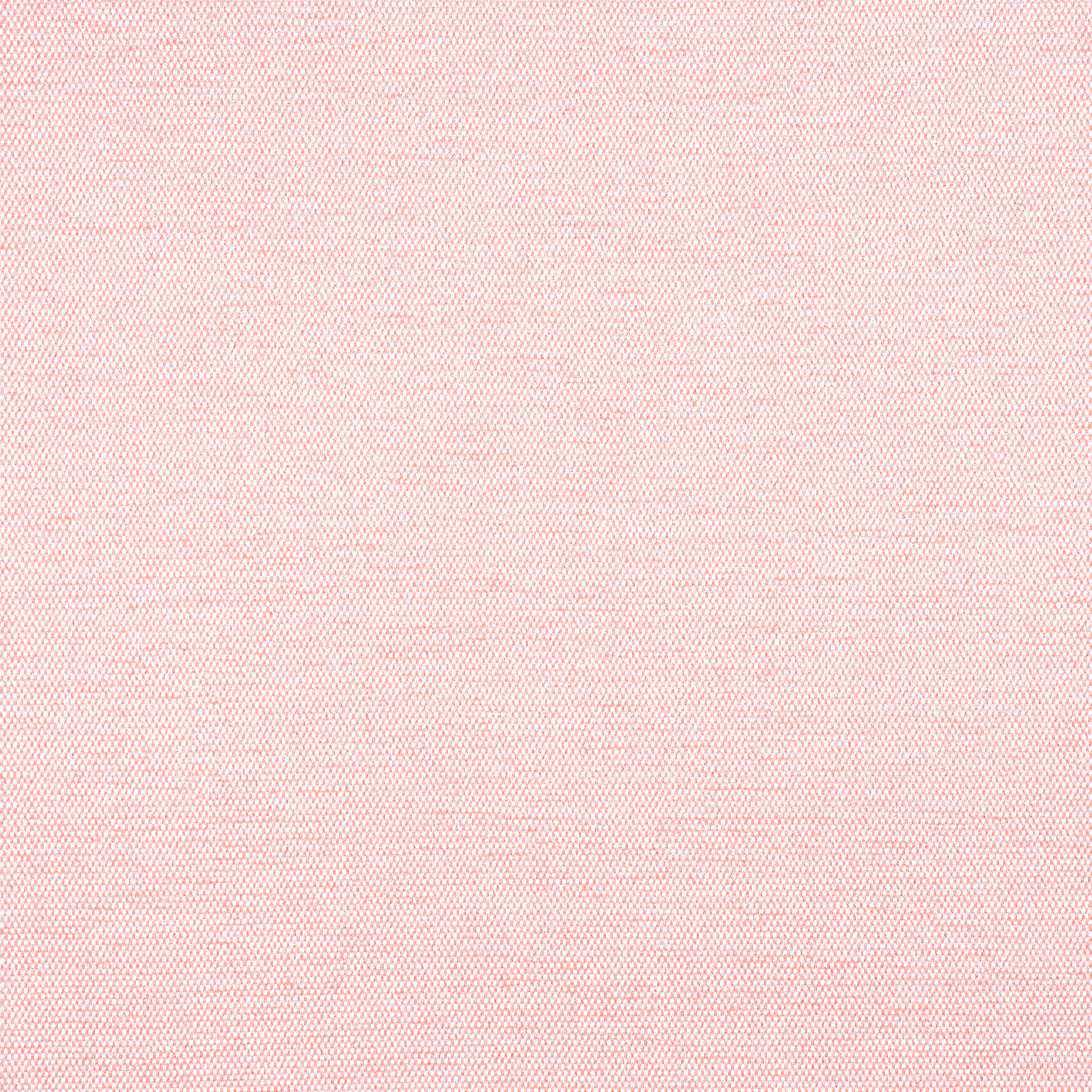 Purchase Thibaut Fabric Item# W8594 pattern name Clara color Seashell