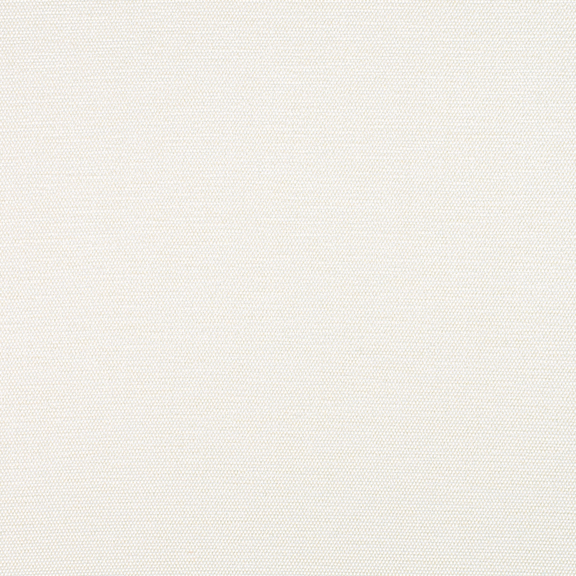 Purchase Thibaut Fabric Product# W8596 pattern name Clara color Almond