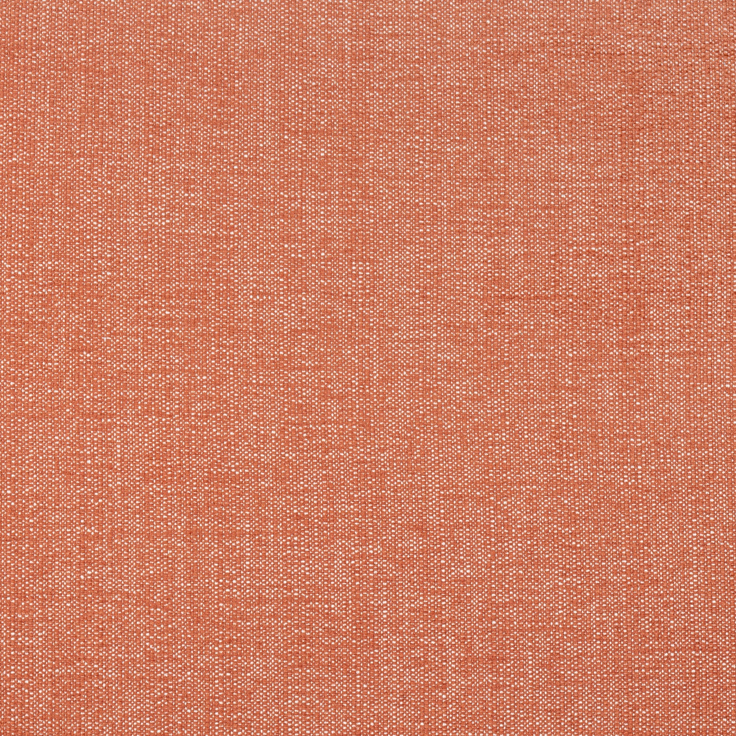 Purchase Thibaut Fabric Pattern W8713 pattern name Veda color Terracotta