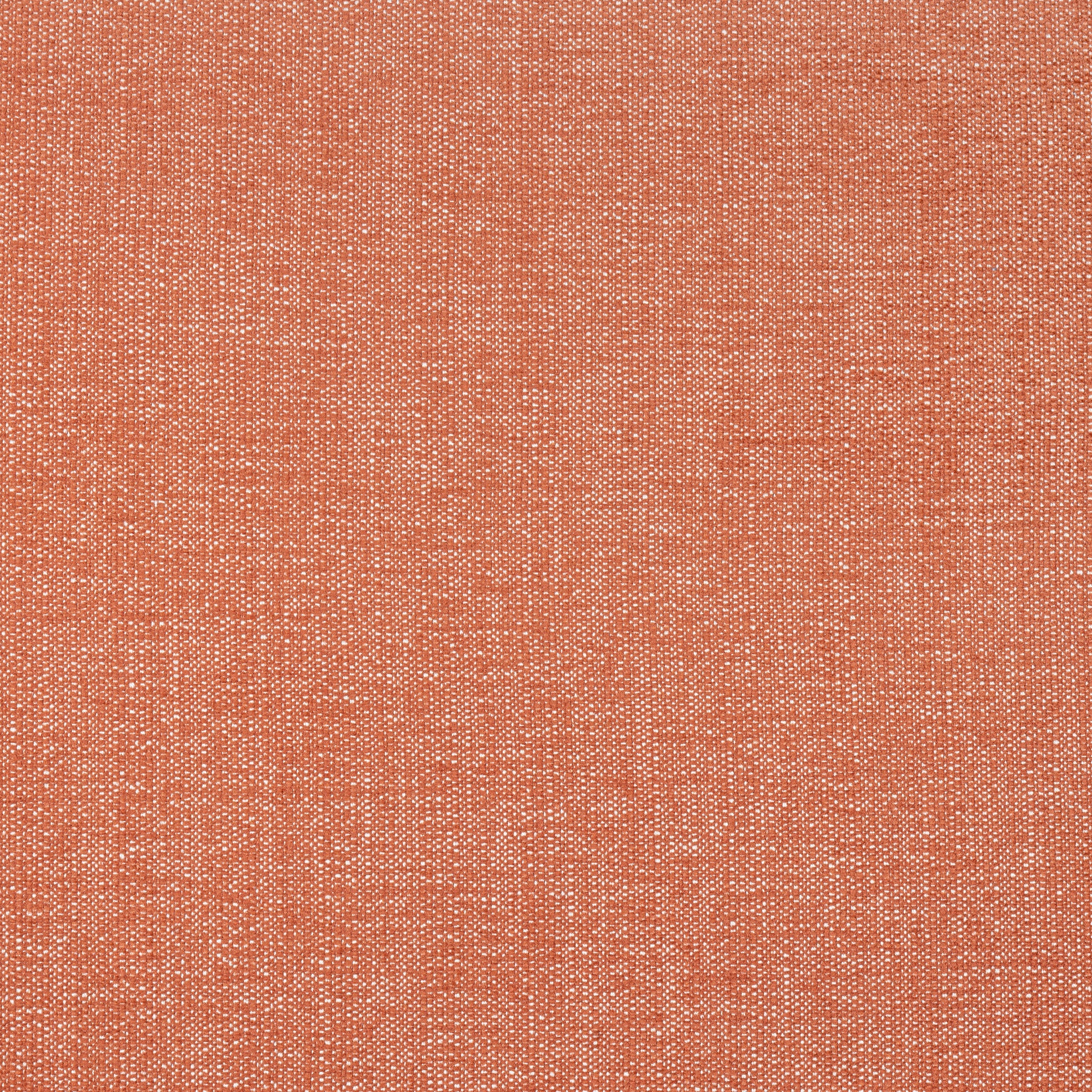 Purchase Thibaut Fabric Pattern W8713 pattern name Veda color Terracotta