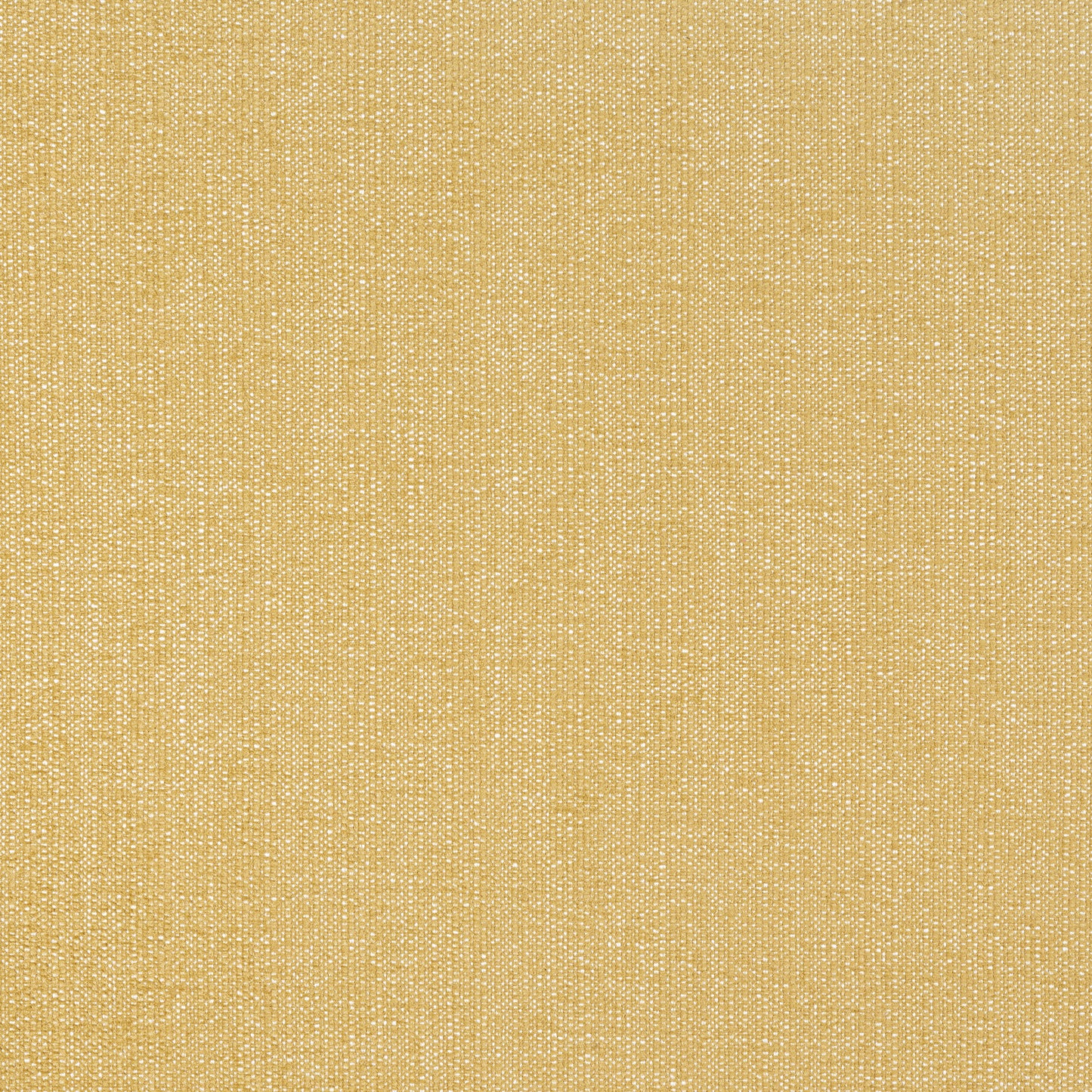 Purchase Thibaut Fabric Pattern# W8715 pattern name Veda color Straw