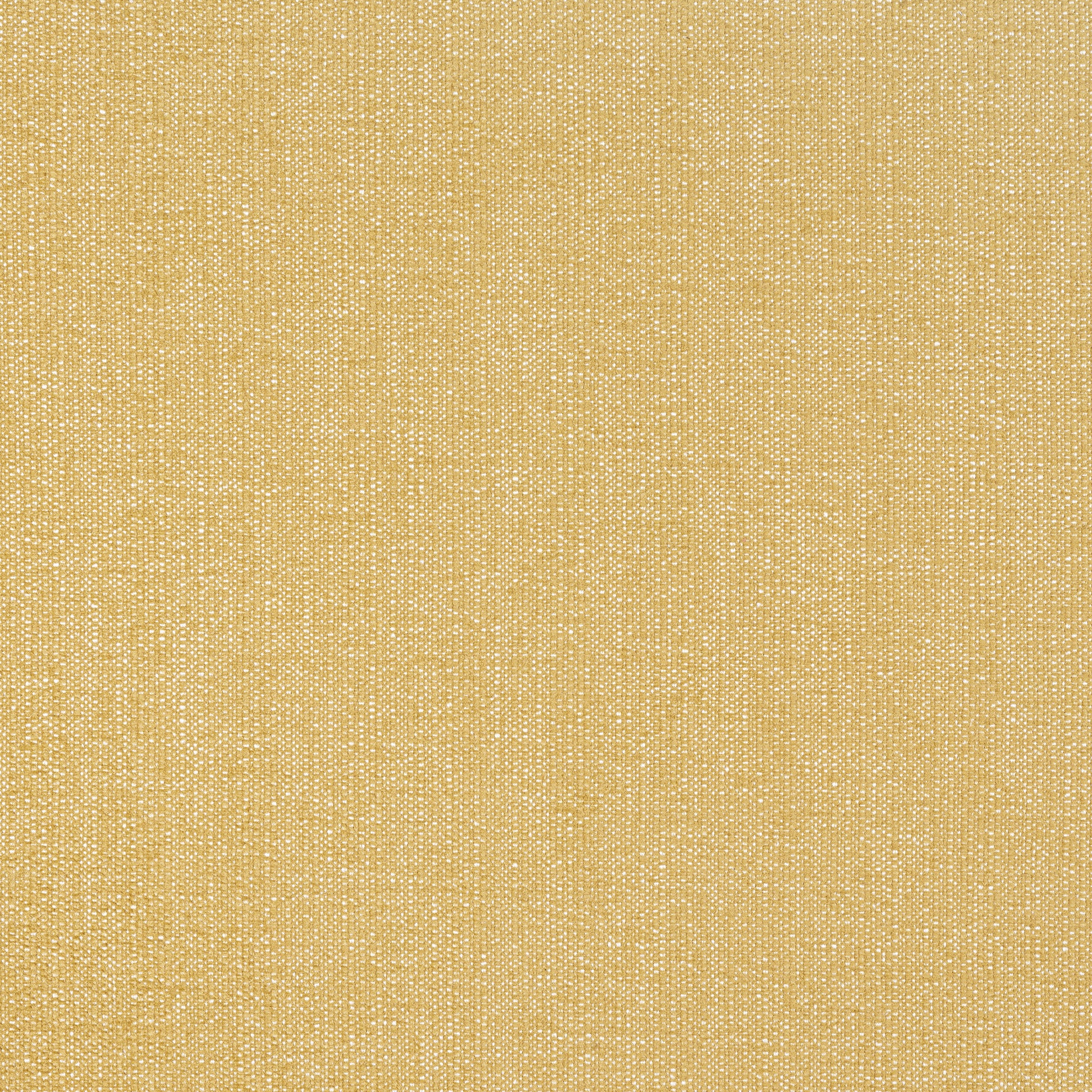 Purchase Thibaut Fabric Pattern# W8715 pattern name Veda color Straw