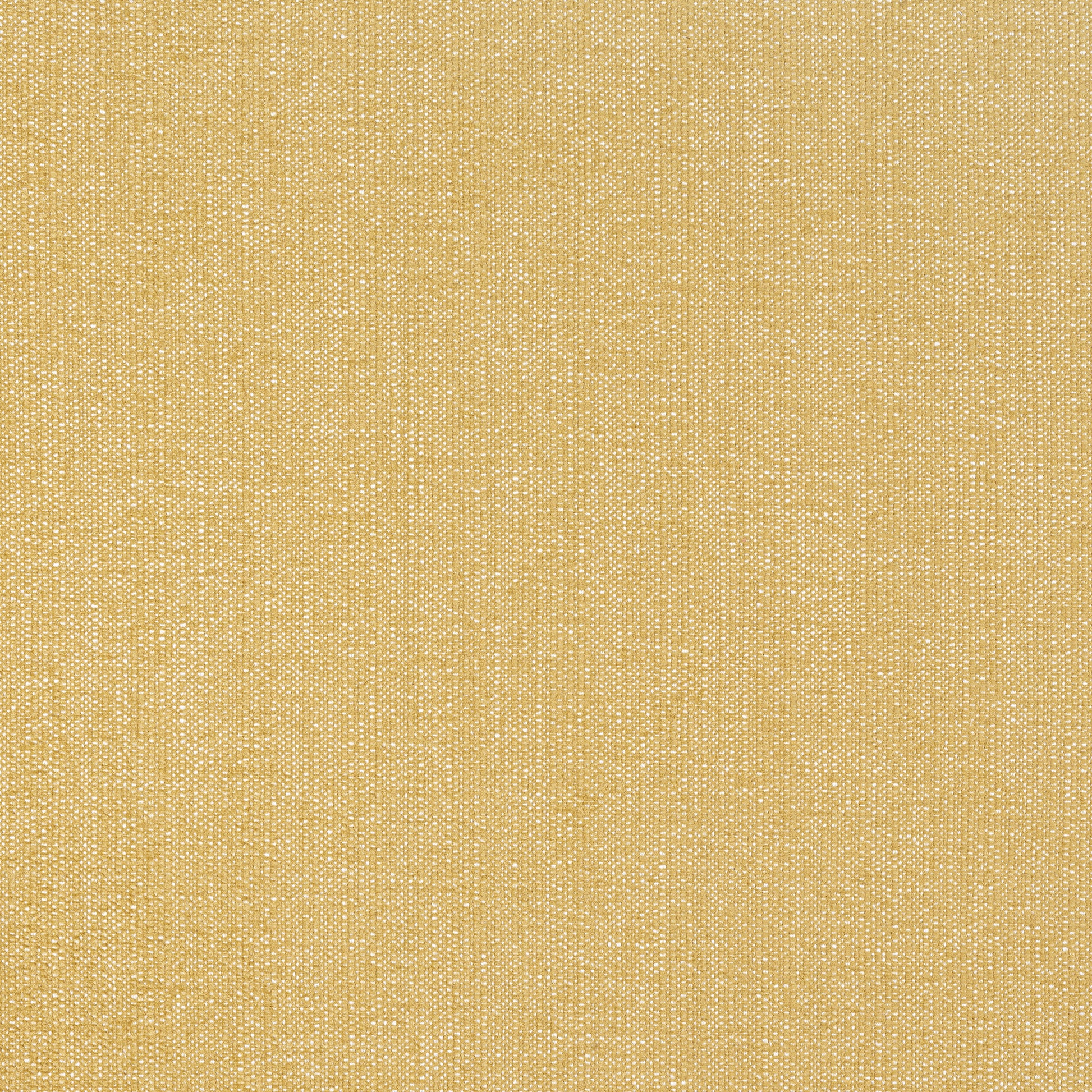 Purchase Thibaut Fabric Pattern# W8715 pattern name Veda color Straw