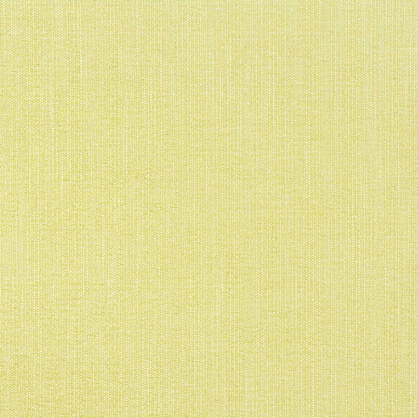 Purchase Thibaut Fabric Item# W8716 pattern name Veda color Lemongrass