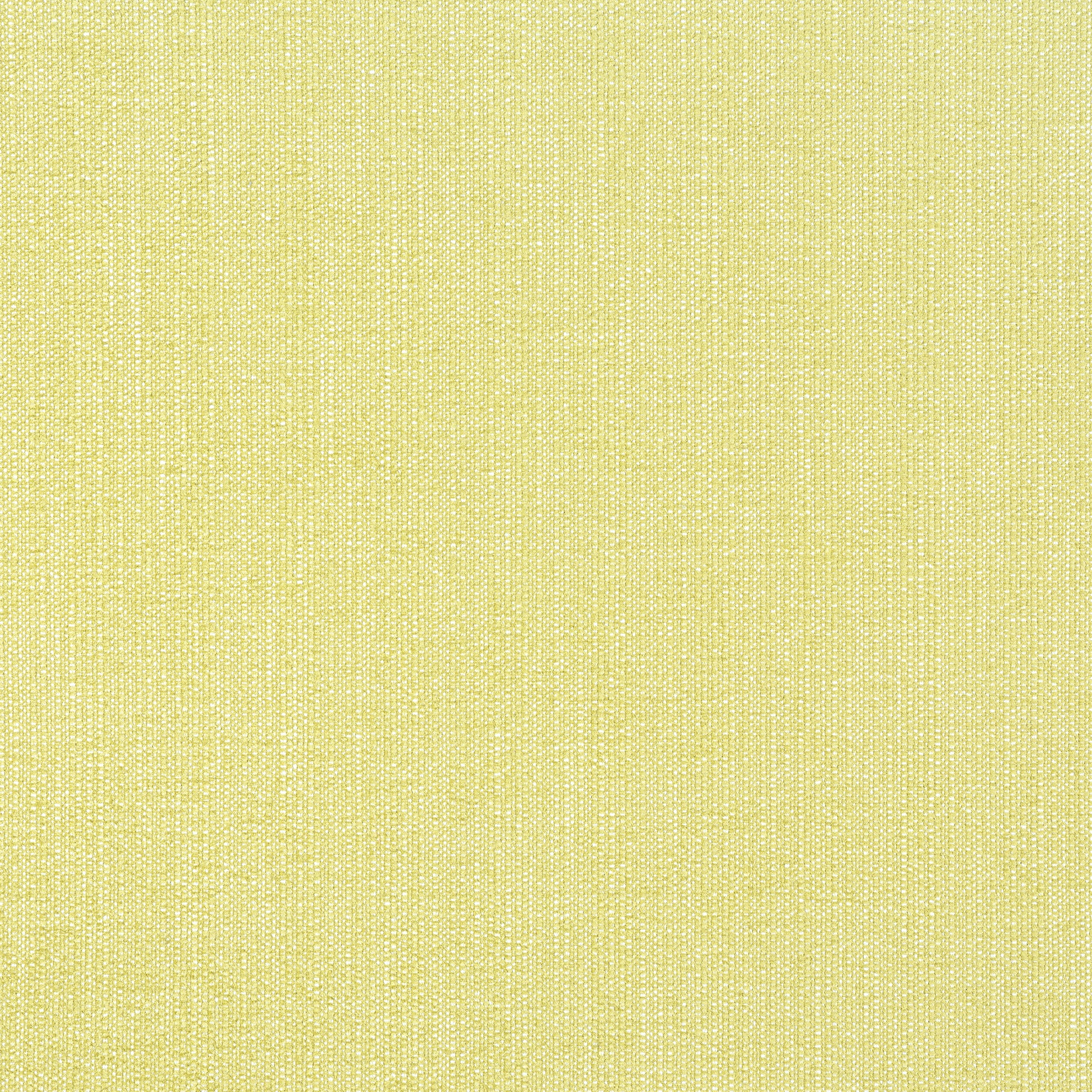 Purchase Thibaut Fabric Item# W8716 pattern name Veda color Lemongrass