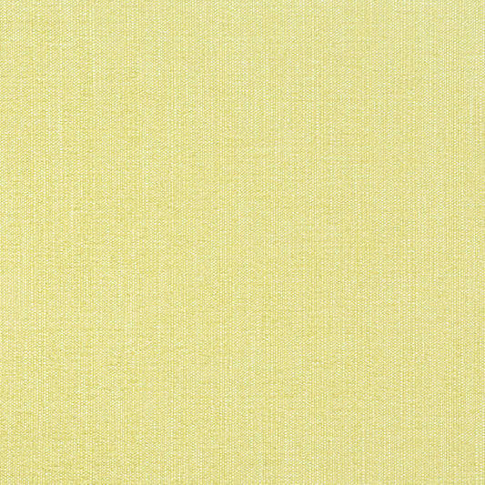 Purchase Thibaut Fabric Item# W8716 pattern name Veda color Lemongrass