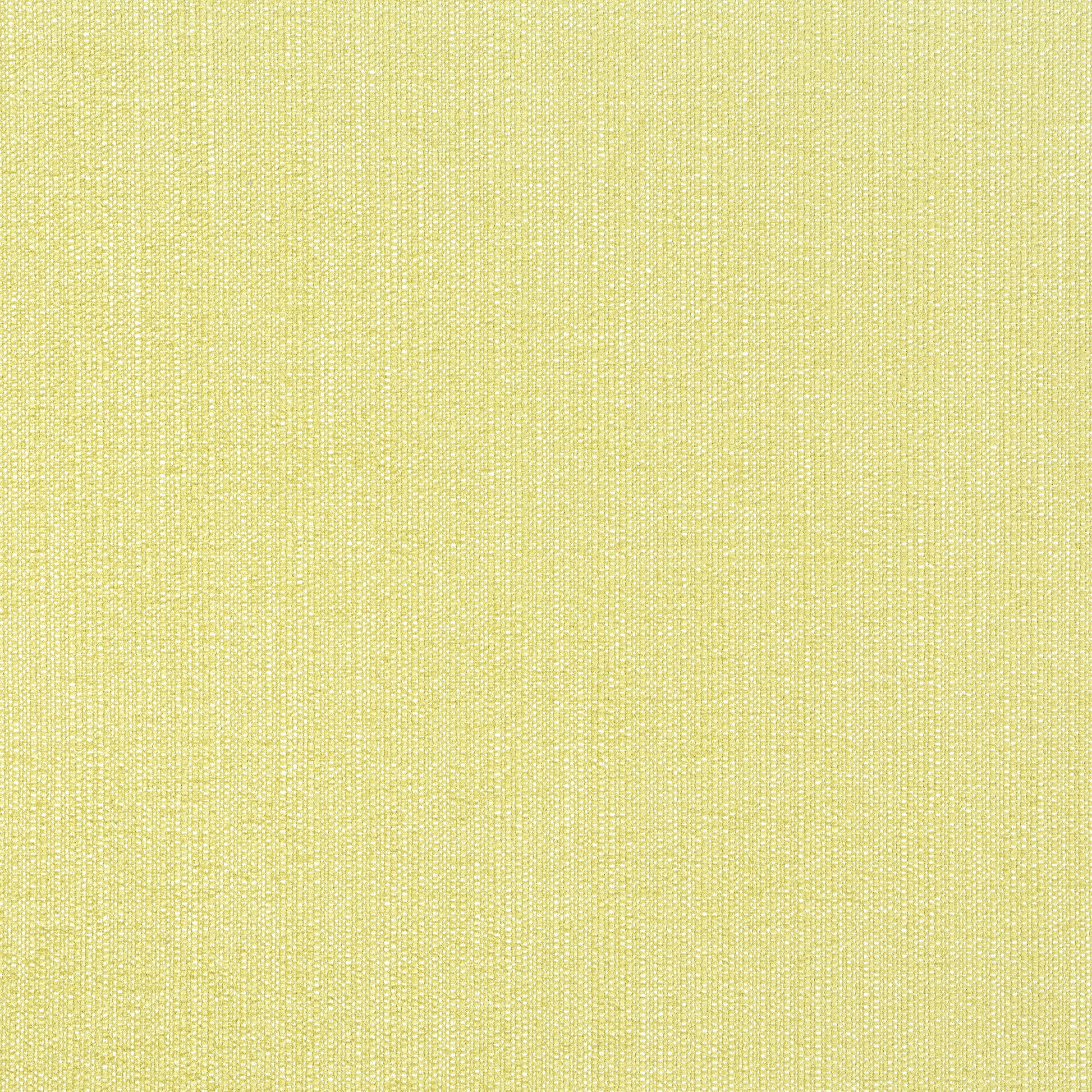 Purchase Thibaut Fabric Item# W8716 pattern name Veda color Lemongrass