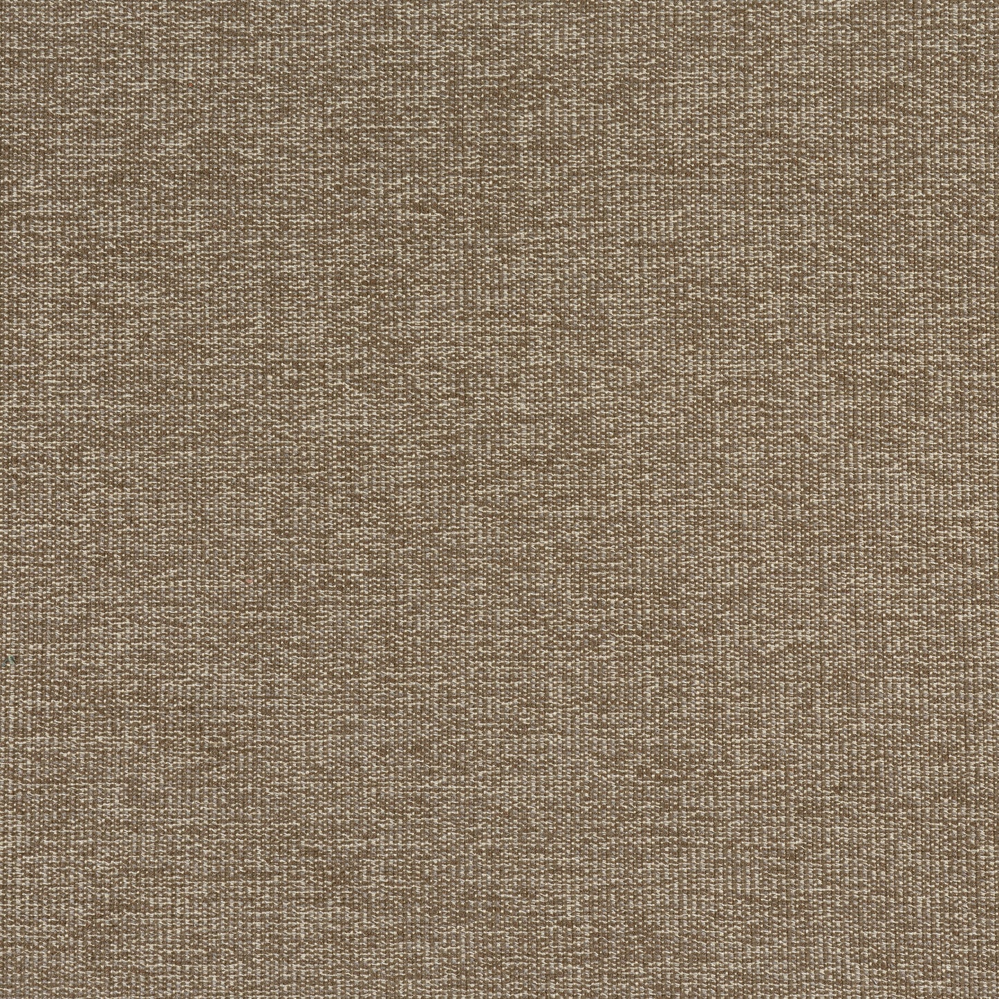 Purchase Thibaut Fabric Pattern W8757 pattern name Sacchi color Mocha