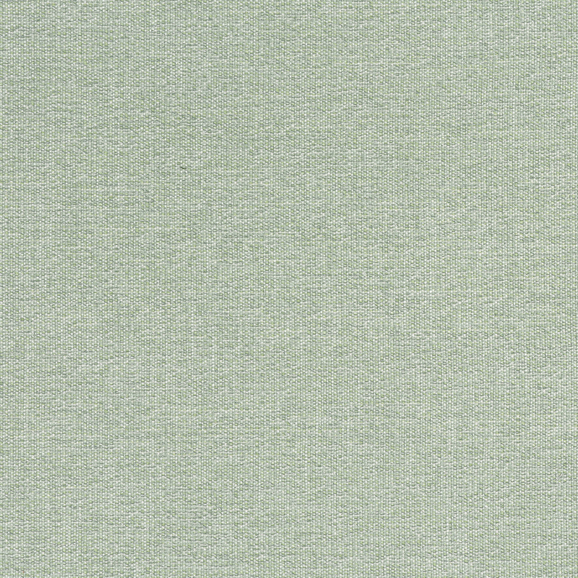 Purchase Thibaut Fabric Pattern# W8759 pattern name Sacchi color Green