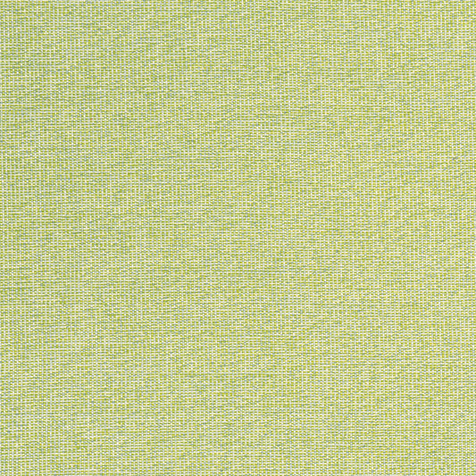 Purchase Thibaut Fabric Pattern number W8763 pattern name Sacchi color Leaf
