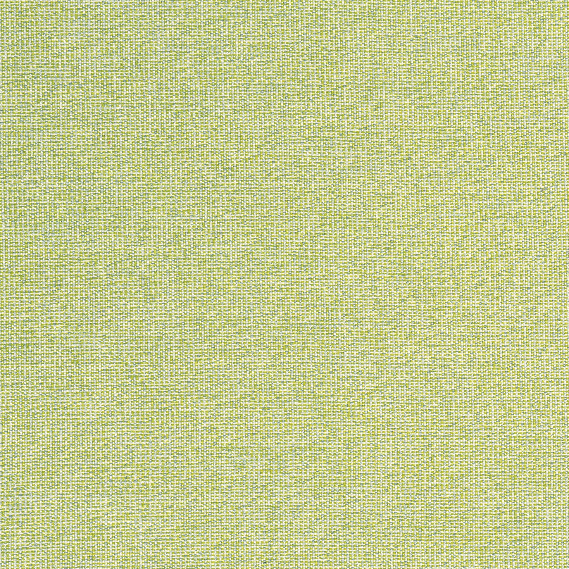 Purchase Thibaut Fabric Pattern number W8763 pattern name Sacchi color Leaf