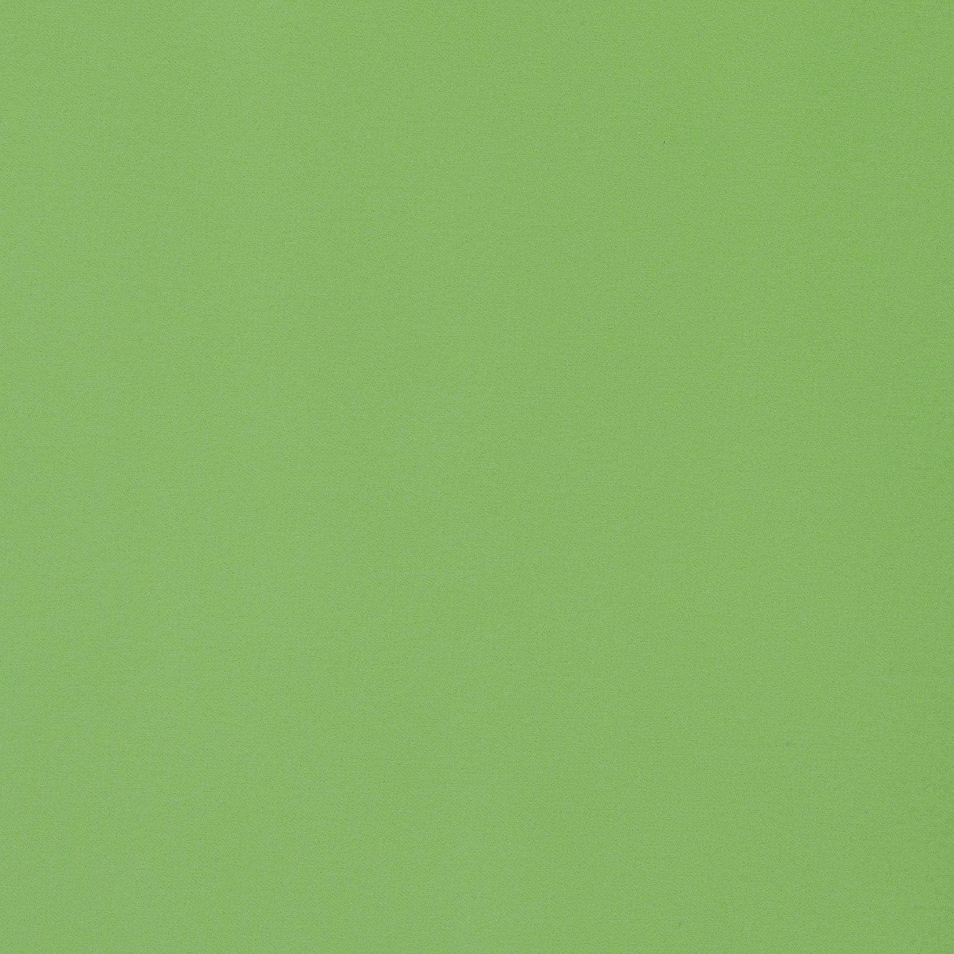 Purchase Thibaut Fabric Item# W8924 pattern name Lyra Velvet color Grass