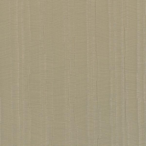 WDW2160.WT Mangrove Sediment by Winfield Thybony