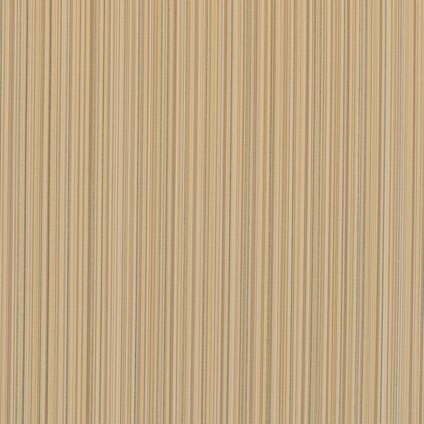 WDW2211.WT Bengal Buttercup by Winfield Thybony