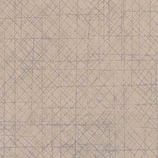 WDW2246.WT Spark Arctic Shell by Winfield Thybony