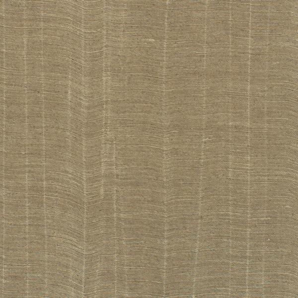 WDW2319.WT Iverson Cattail by Winfield Thybony