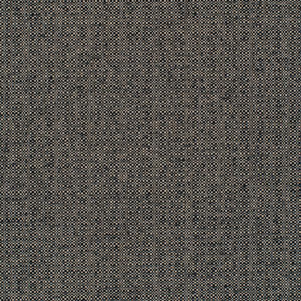 WDW2328.WT Barron Panther by Winfield Thybony