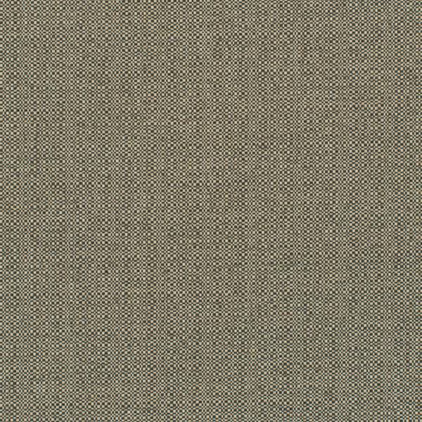 WDW2332.WT Barron Woodland by Winfield Thybony