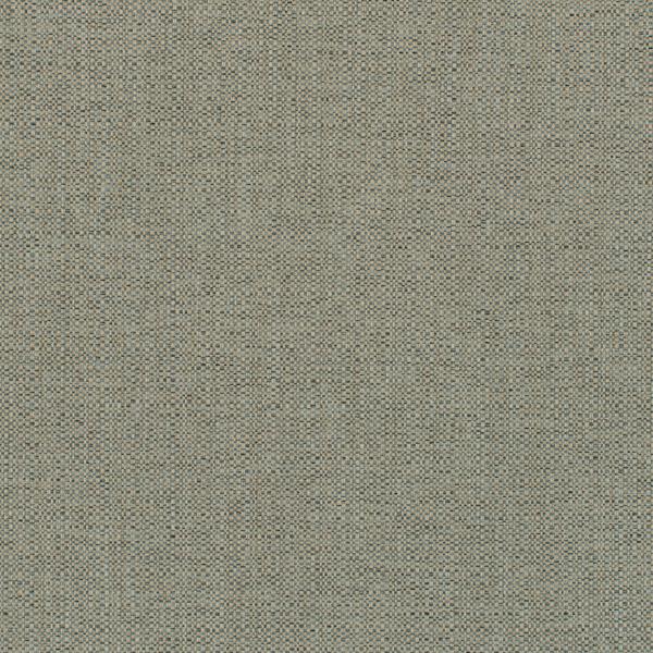 WDW2333.WT Barron Stormy by Winfield Thybony