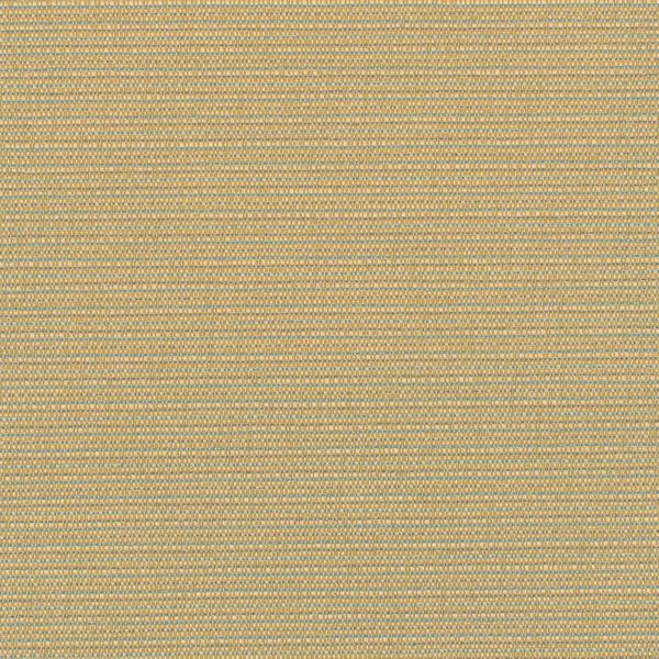 WDW2341.WT Elza Olympus by Winfield Thybony