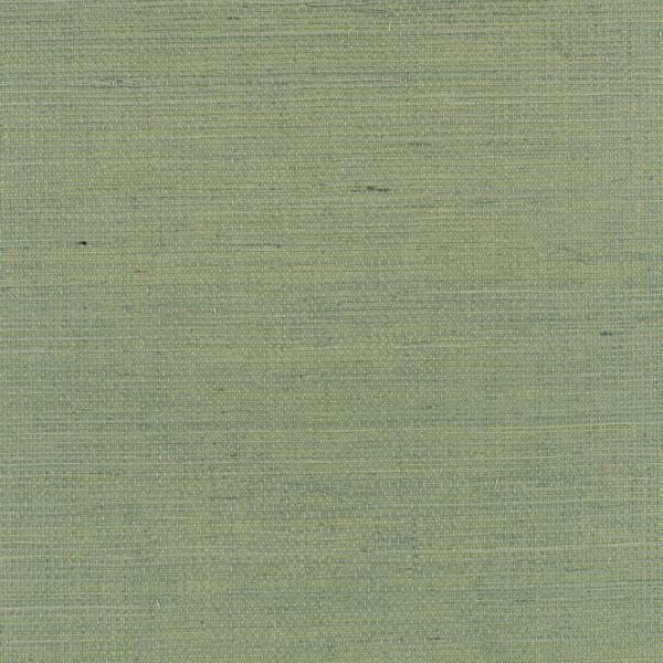 Sample WDW2412.WT.0 Distinctive Sisals Winfield Thybony Wallpaper